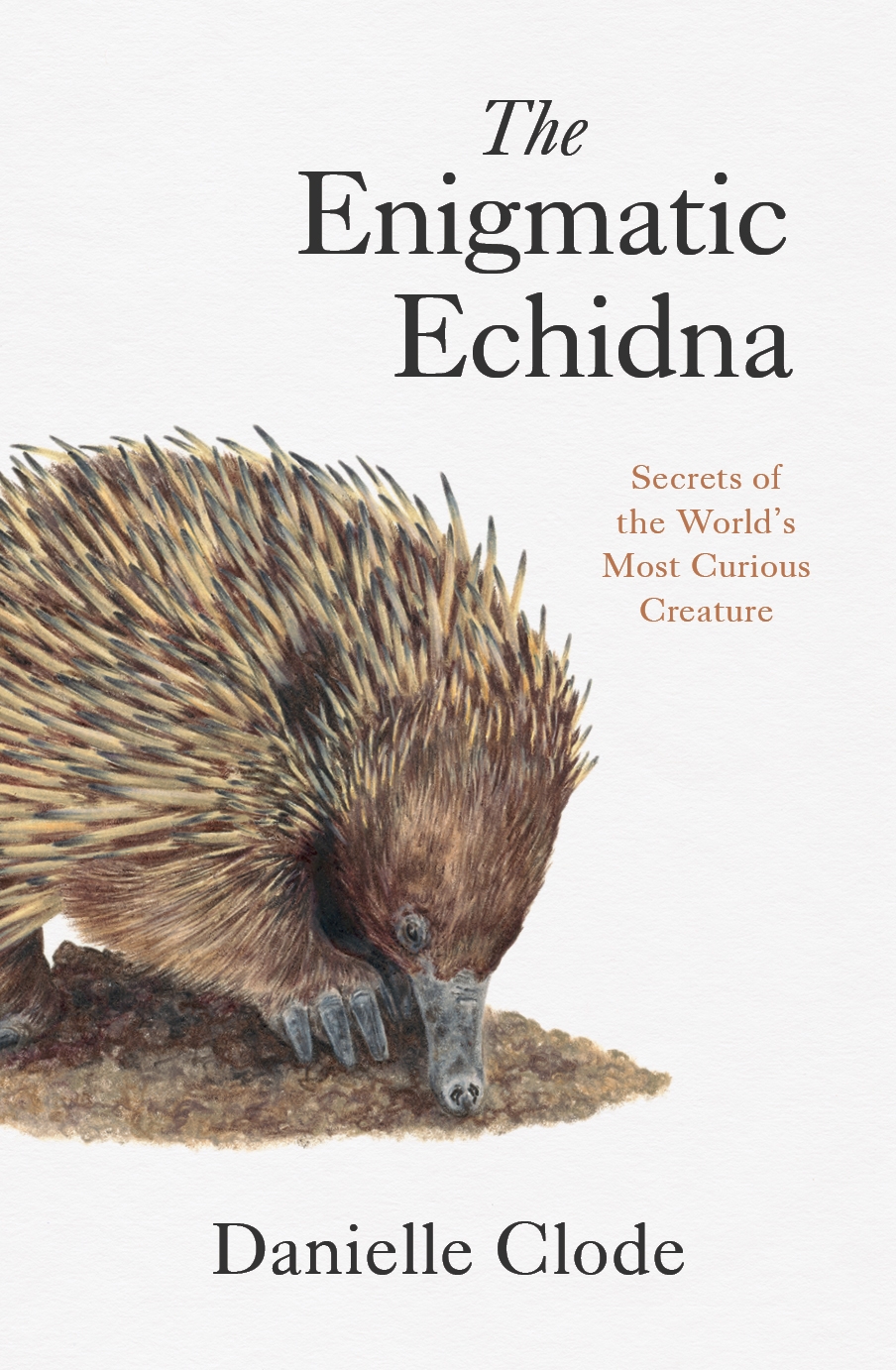 The Enigmatic Echidna Secrets of the World's Most Curious Creature