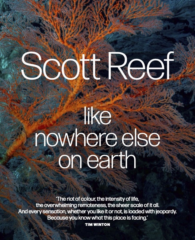 Scott Reef