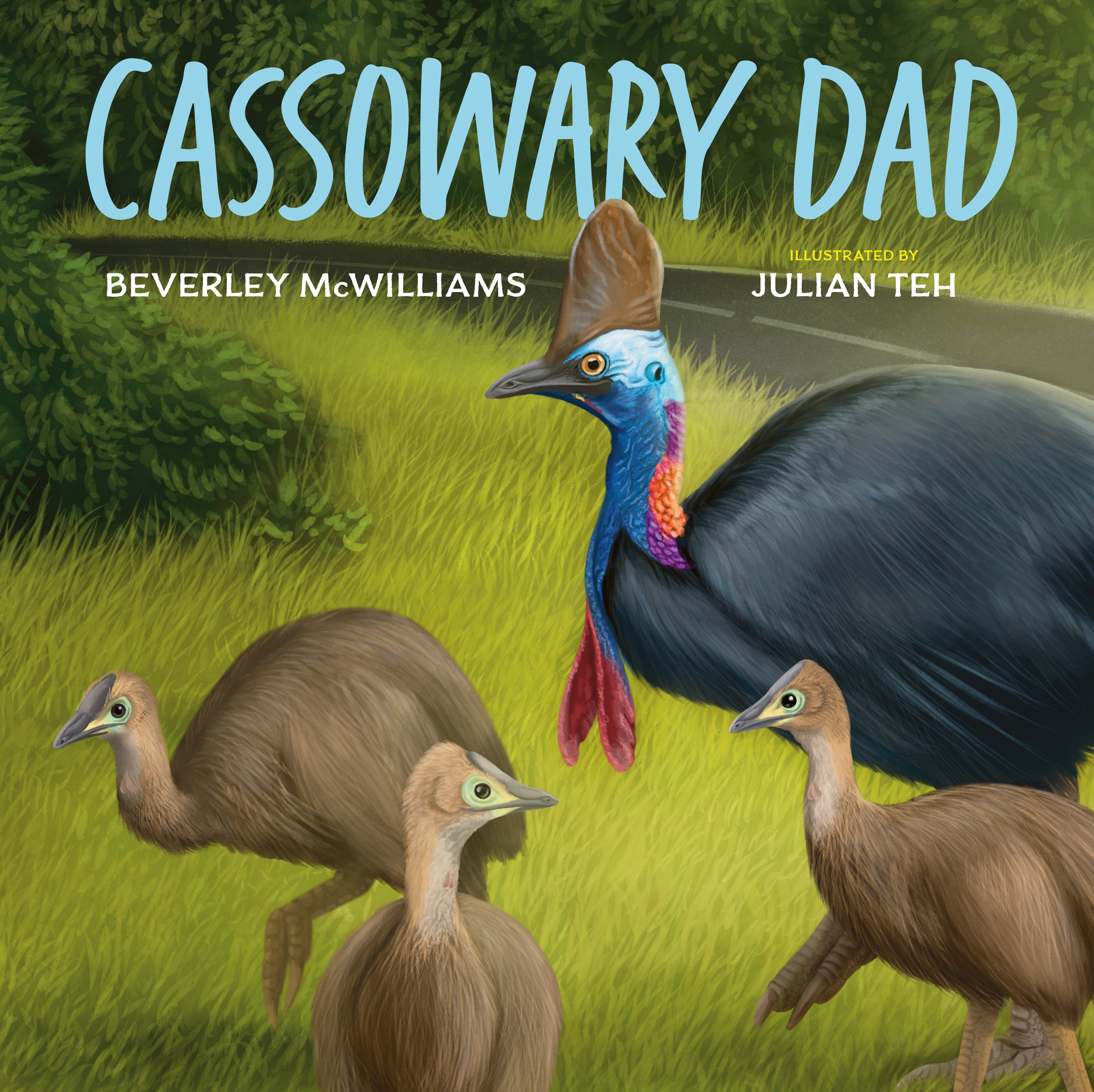 Cassowary Dad by Beverley McWilliams, illustrated by Julian Teh