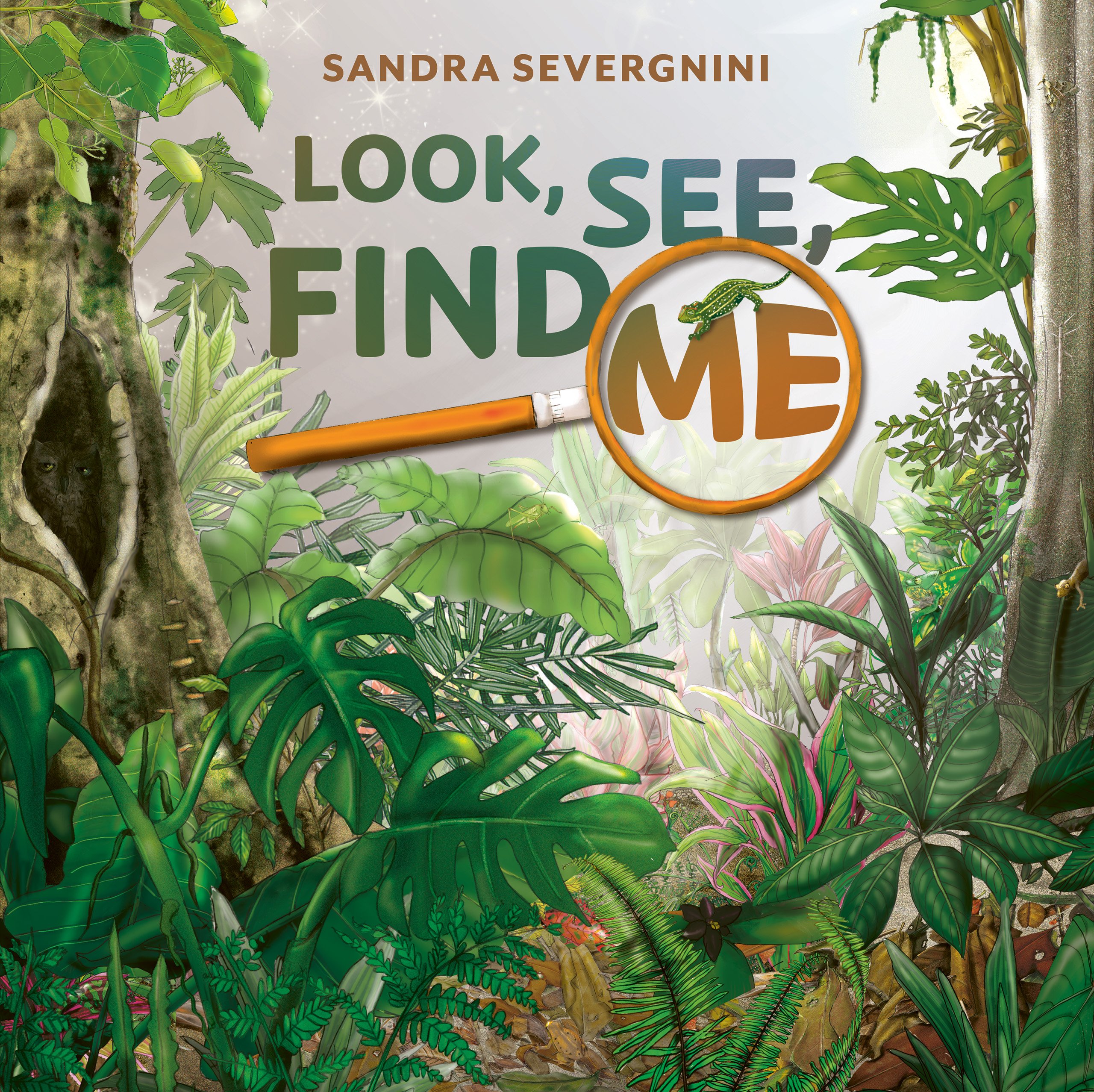 Look, See, Find Me by Sandra Severgnini