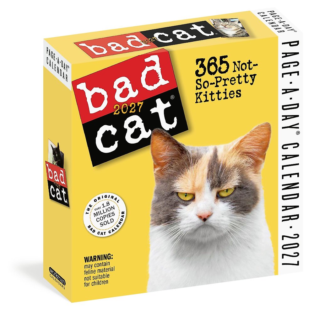 Bad Cat Page-A-Day  Calendar 2027