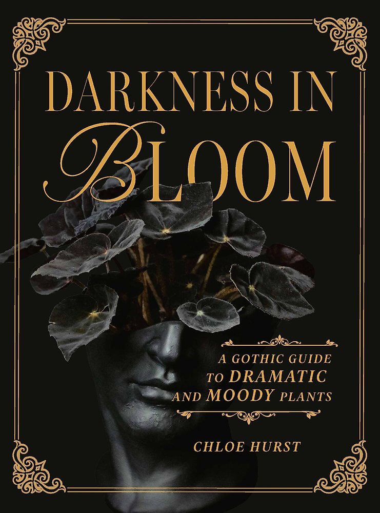 Darkness in Bloom