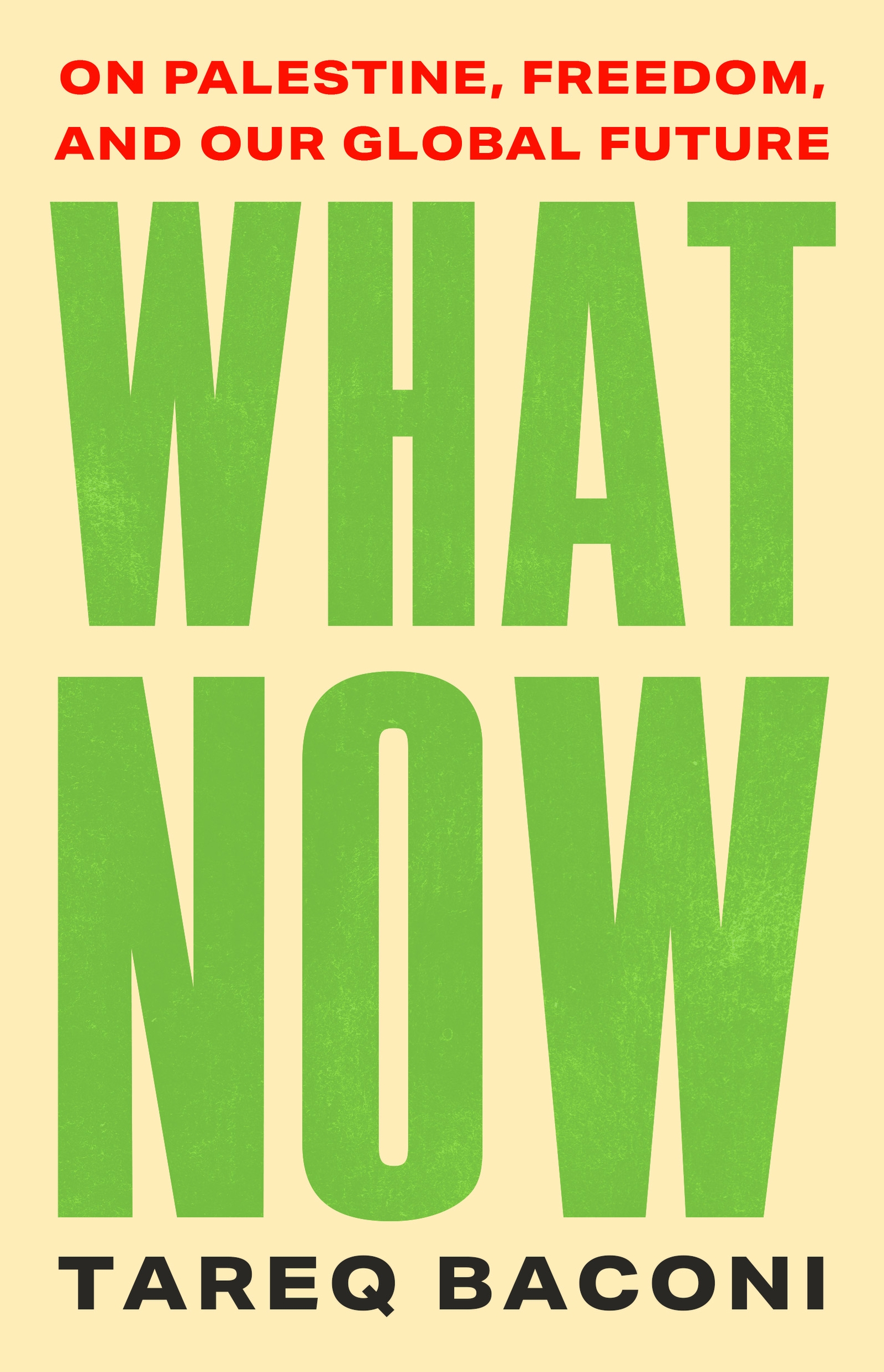 What Now On Palestine, Freedom, and Our Global Future