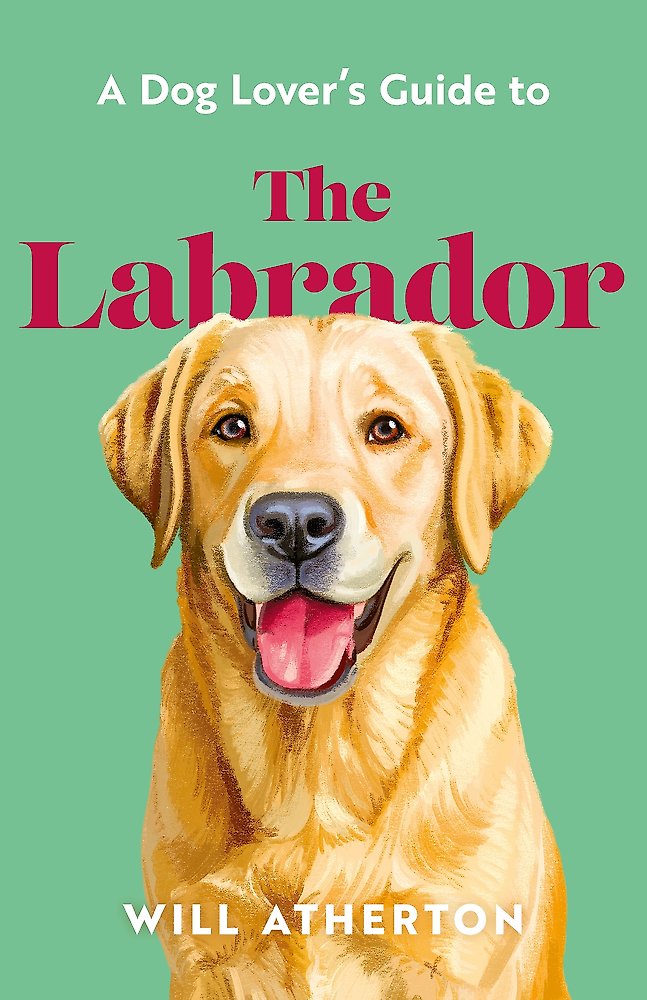 A Dog Lover s Guide to The Labrador