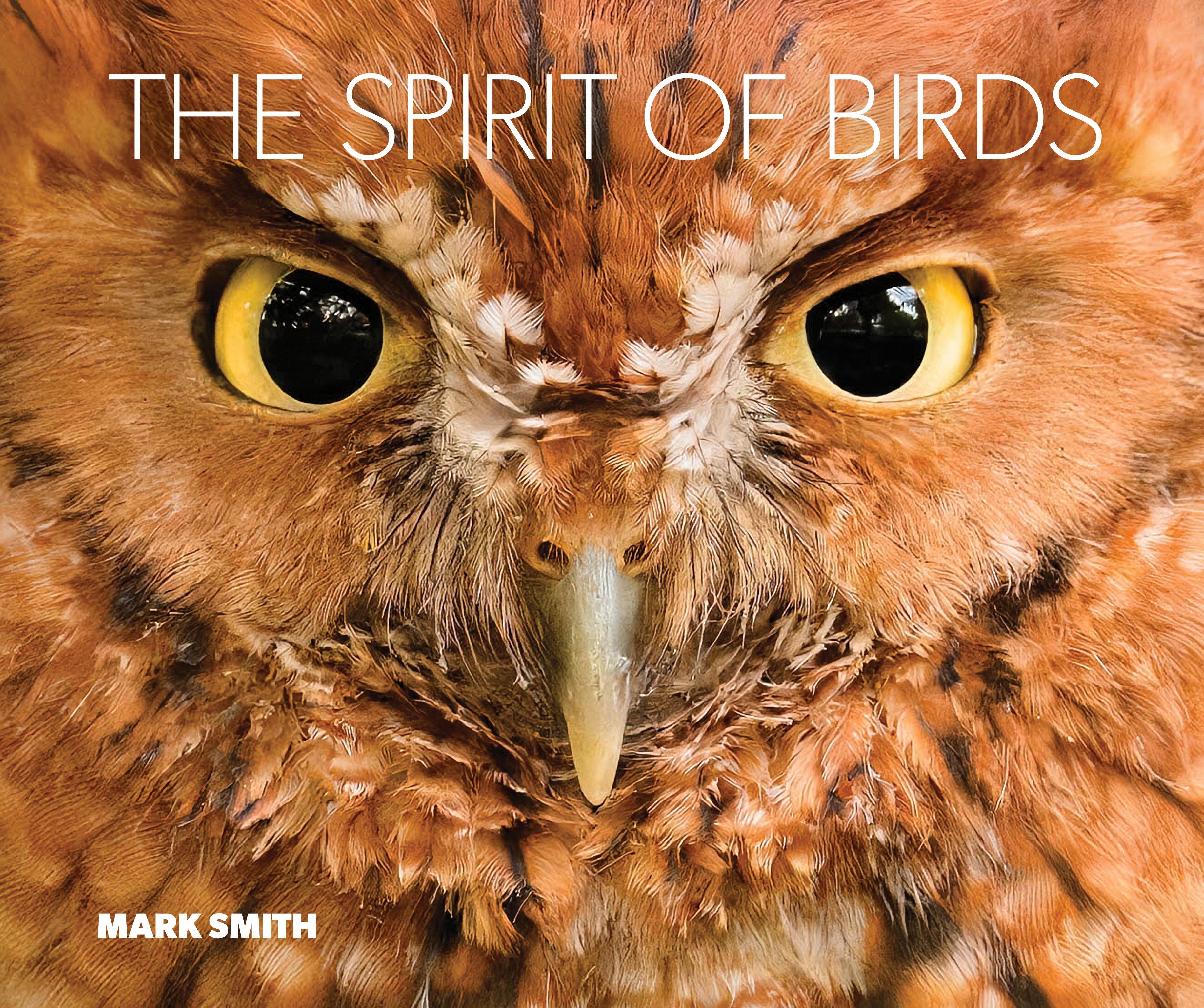 The Spirit of Birds From World Renowned Nature Photographer Mark Smith