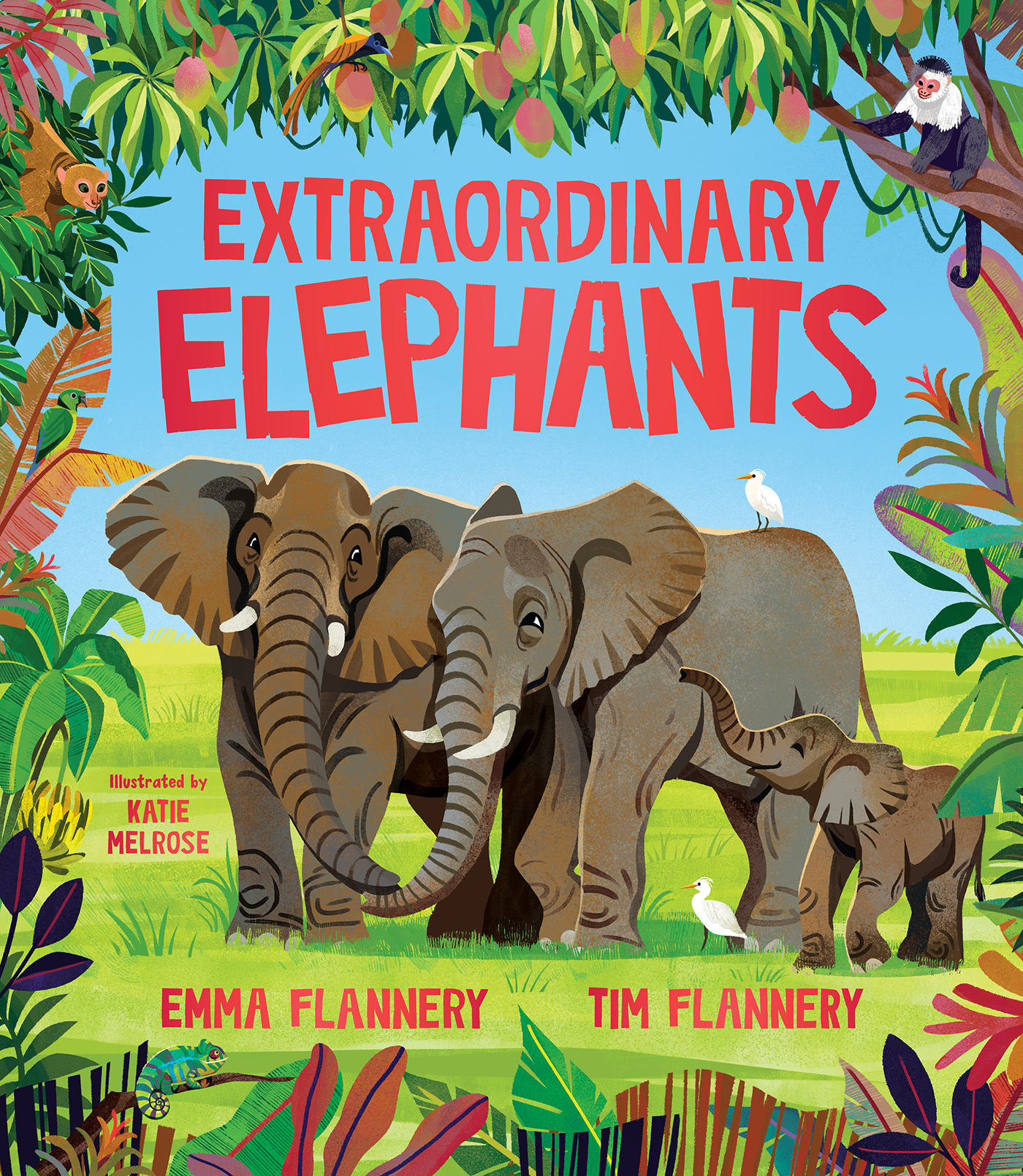 Extraordinary Elephants by Tim Flannery & Emma Flannery