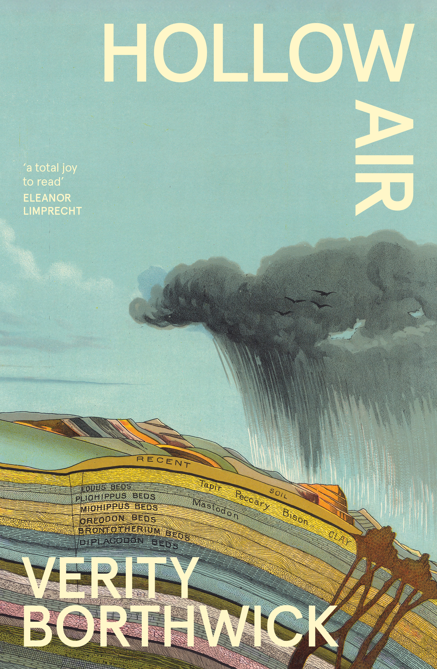 Hollow Air by Verity Borthwick