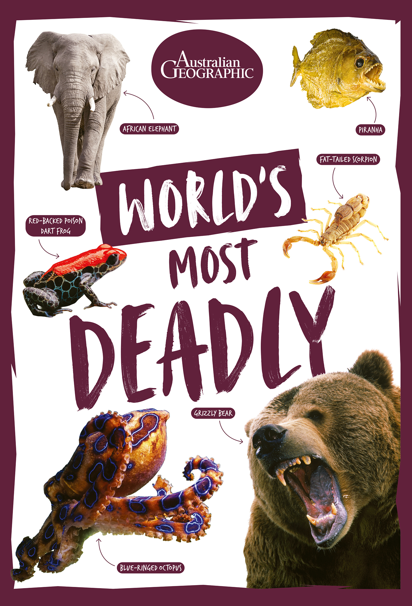 World's Most Deadly