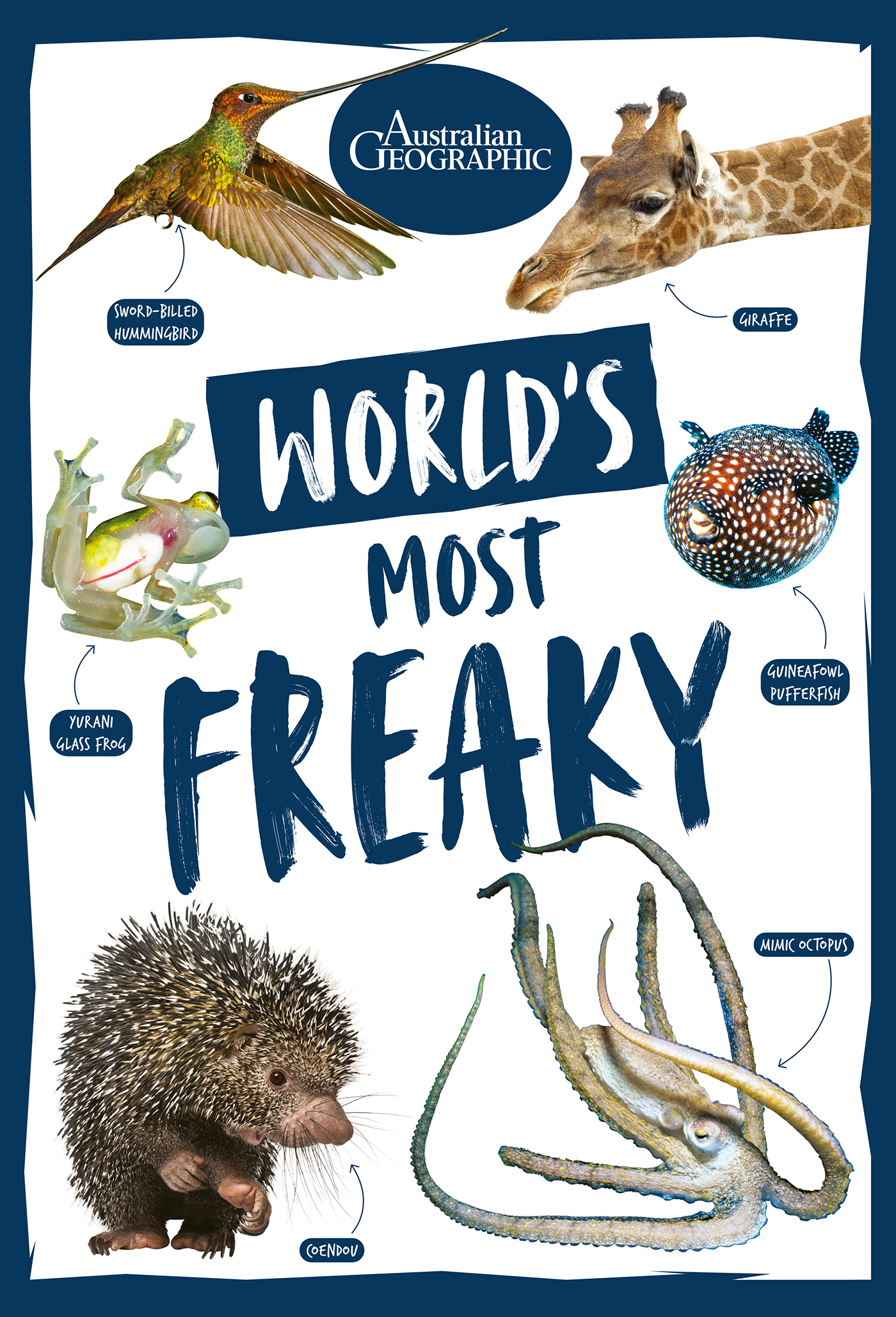 World's Most Freaky