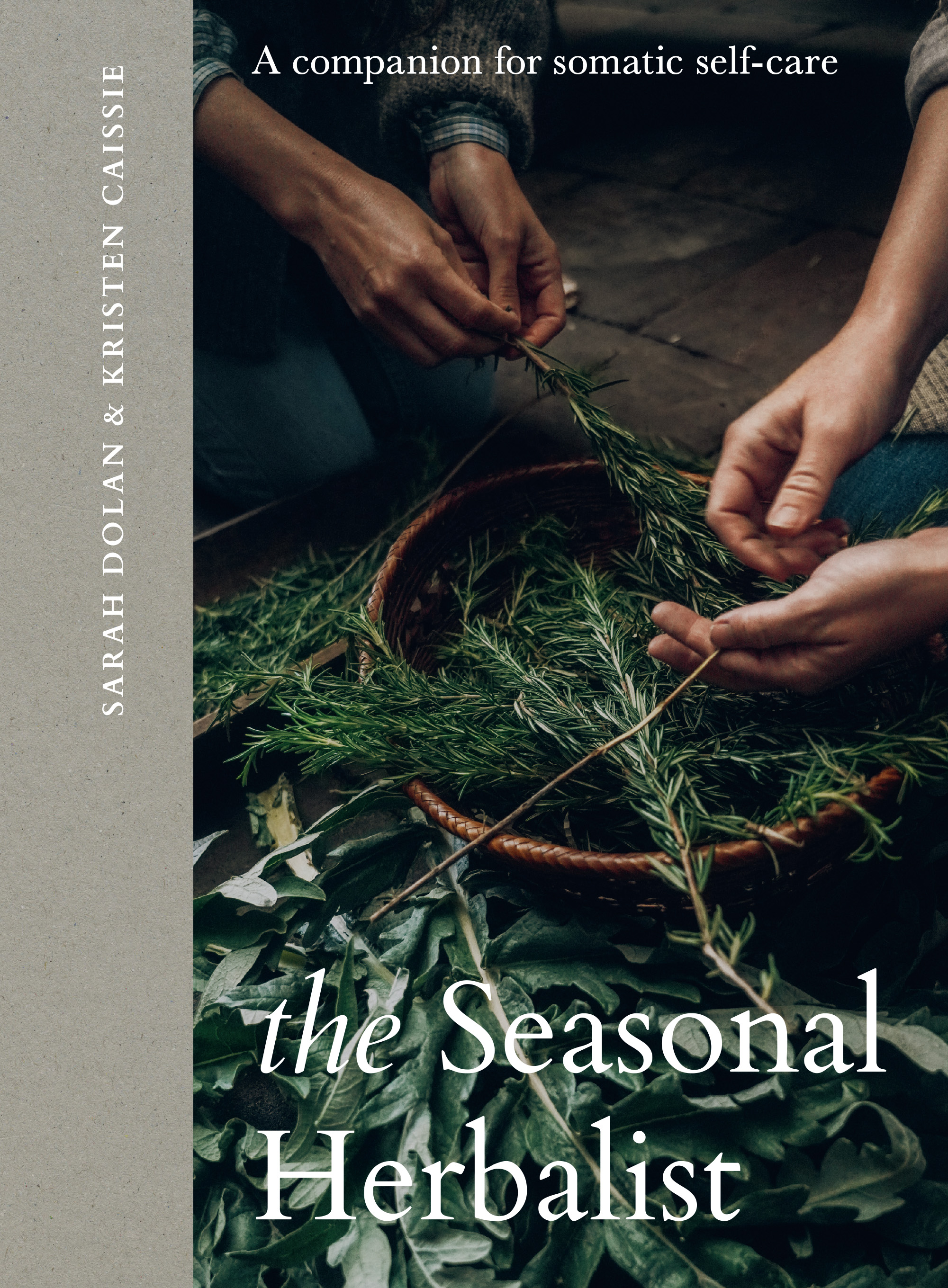 The Seasonal Herbalist
