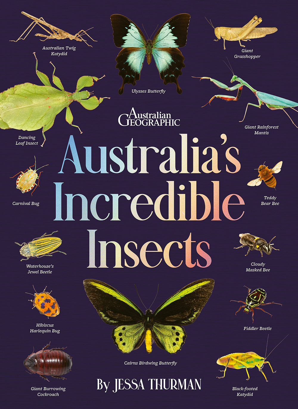 Australia’s Incredible Insects