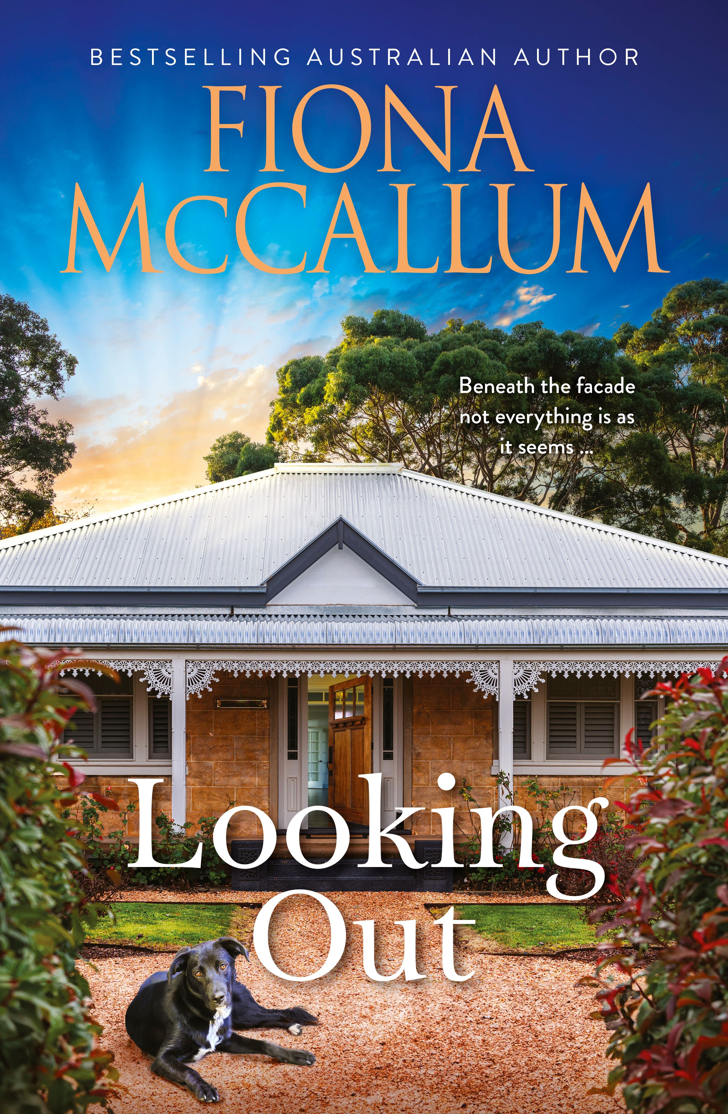 Looking Out by Fiona McCallum
