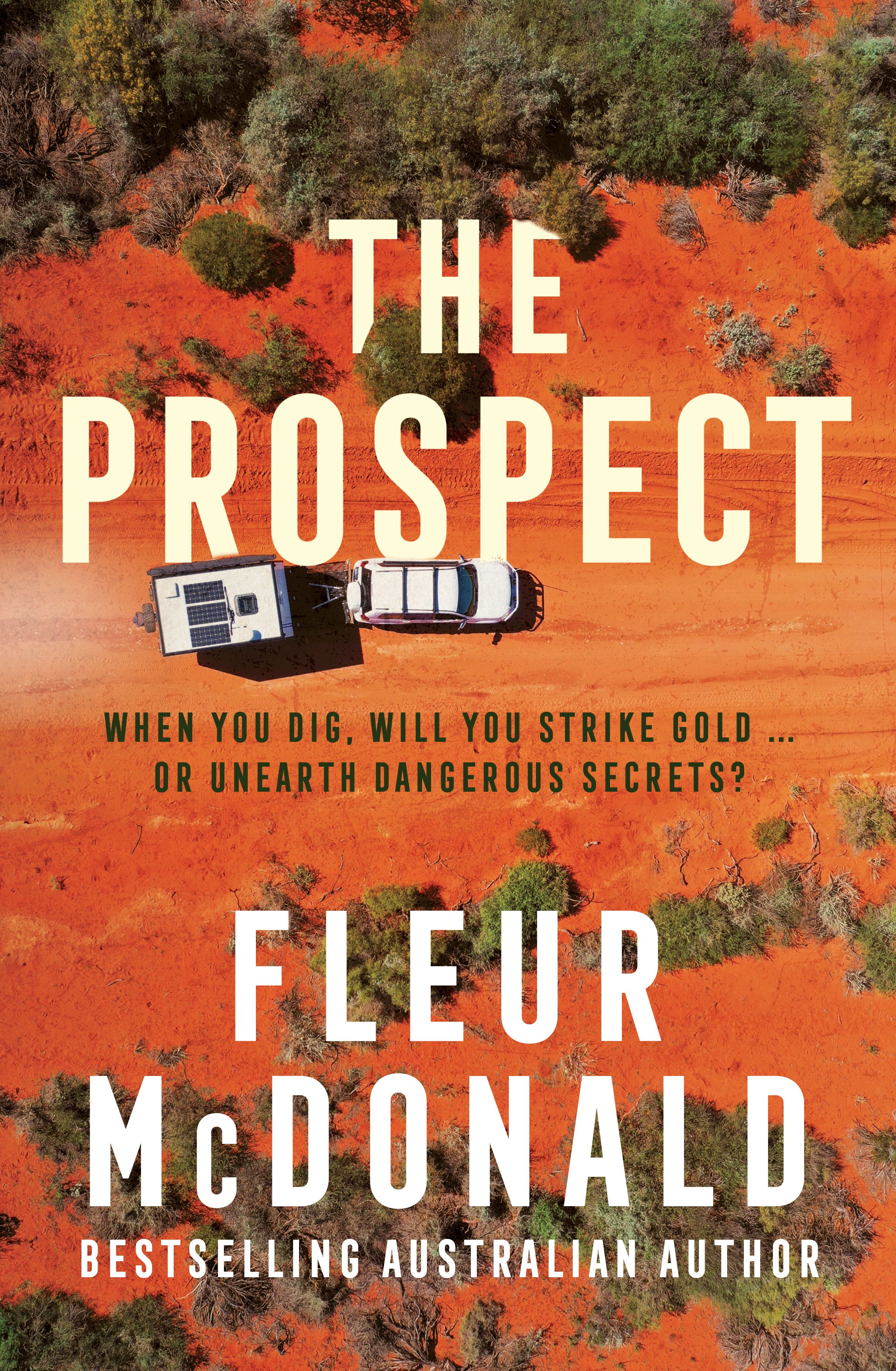 The Prospect by Fiona MCDonald