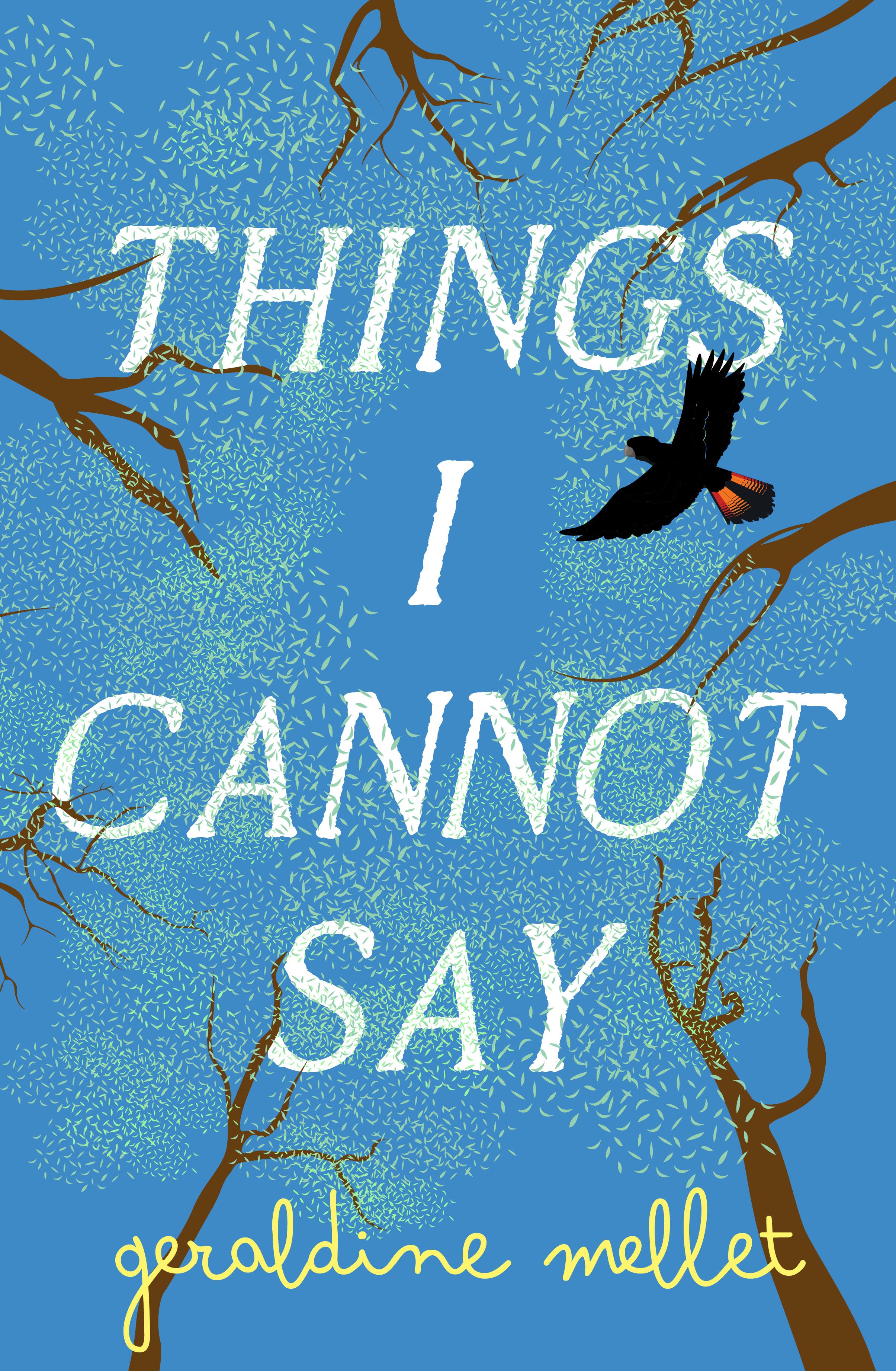 Things I Cannot Say: An important and powerful debut for fans of Graeme Simsion and Anne Buist.