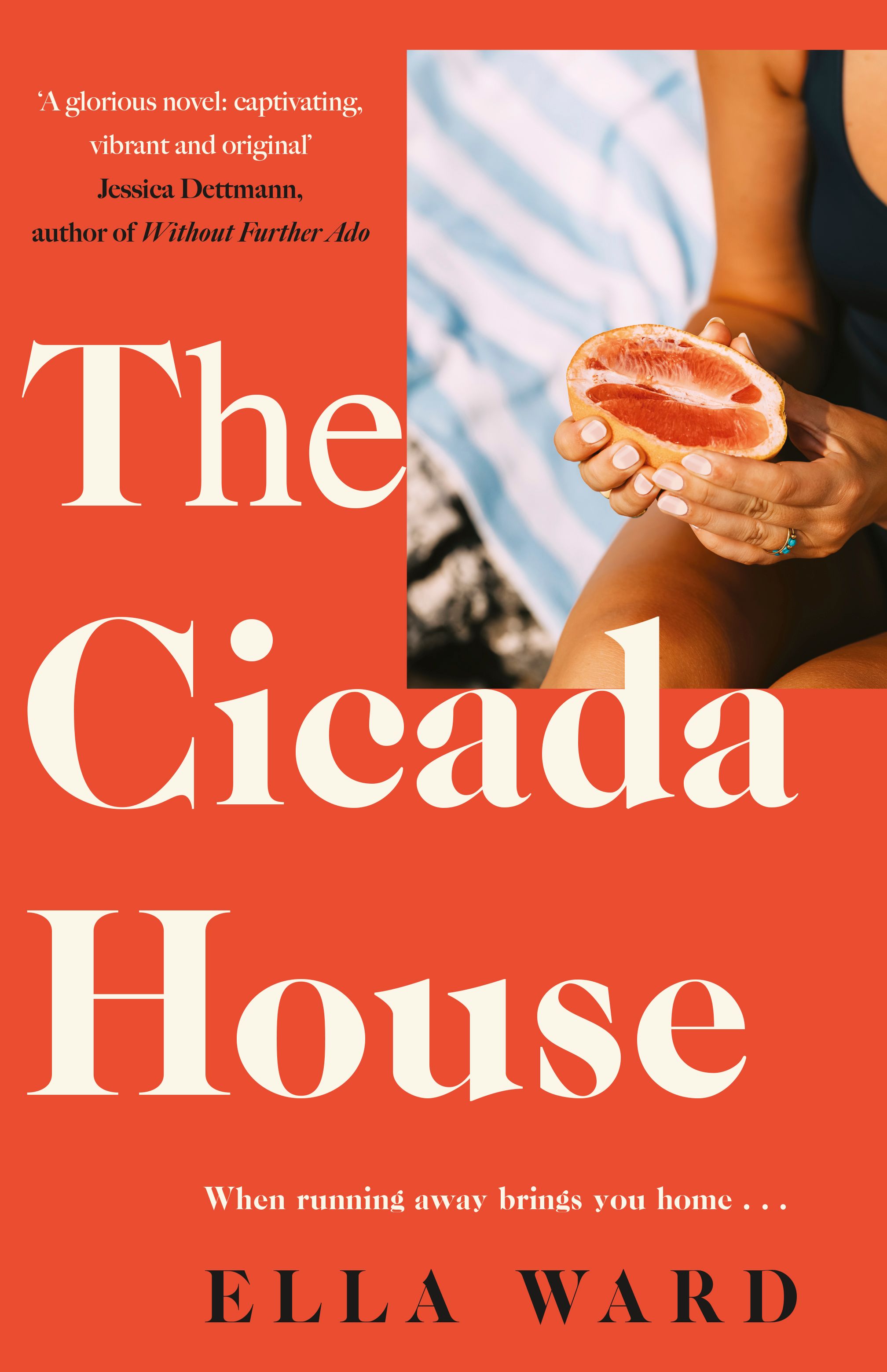 The Cicada House: A heartfelt and feel-good time-travelling love story, perfect for readers of Dolly Alderton, Sally Hepworth and Mhairi McFarlane