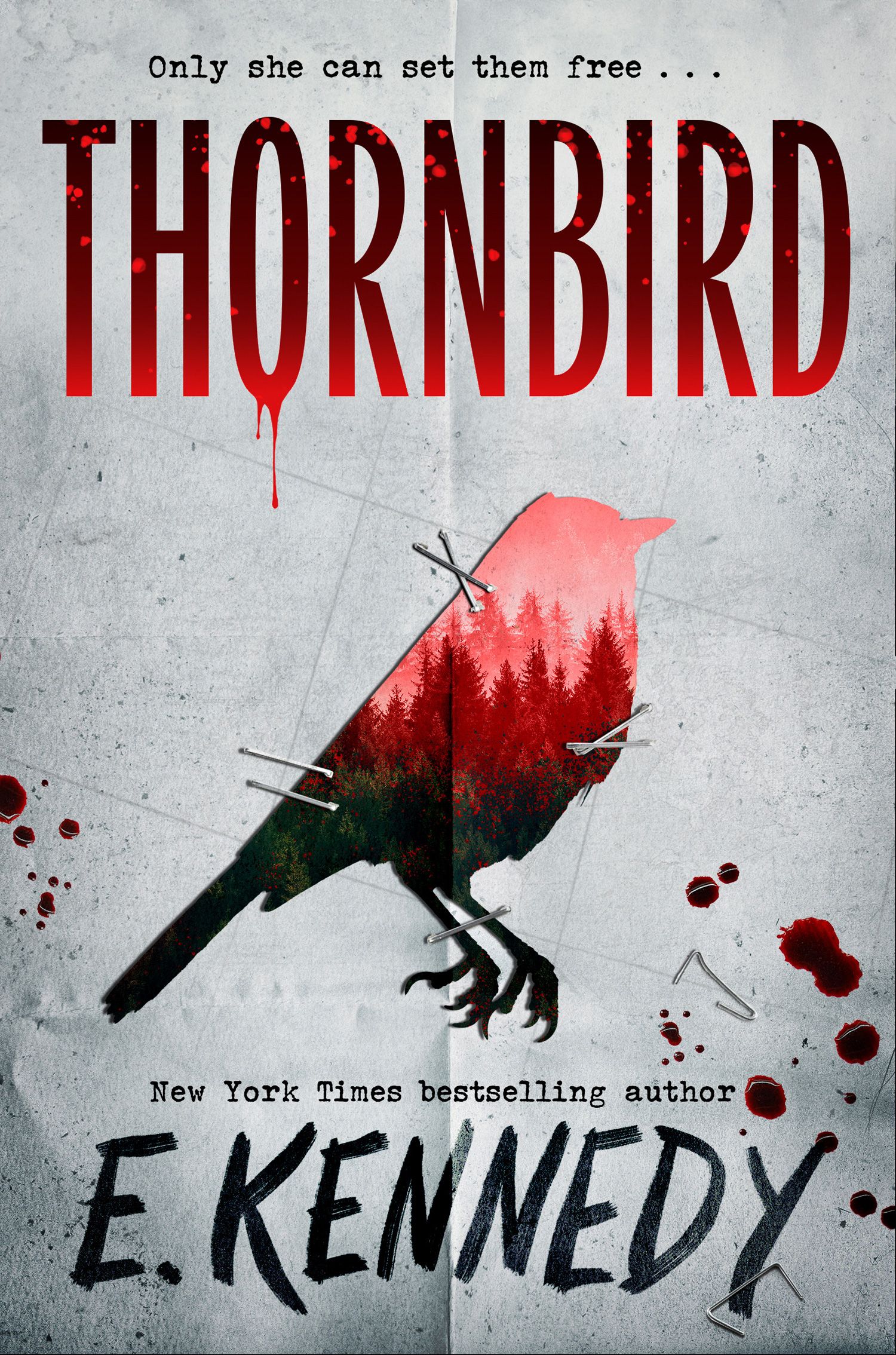 Thornbird: from the New York Times bestselling romance author of the Off-Campus series and for fans of Holly Jackson and Karen M. McManus