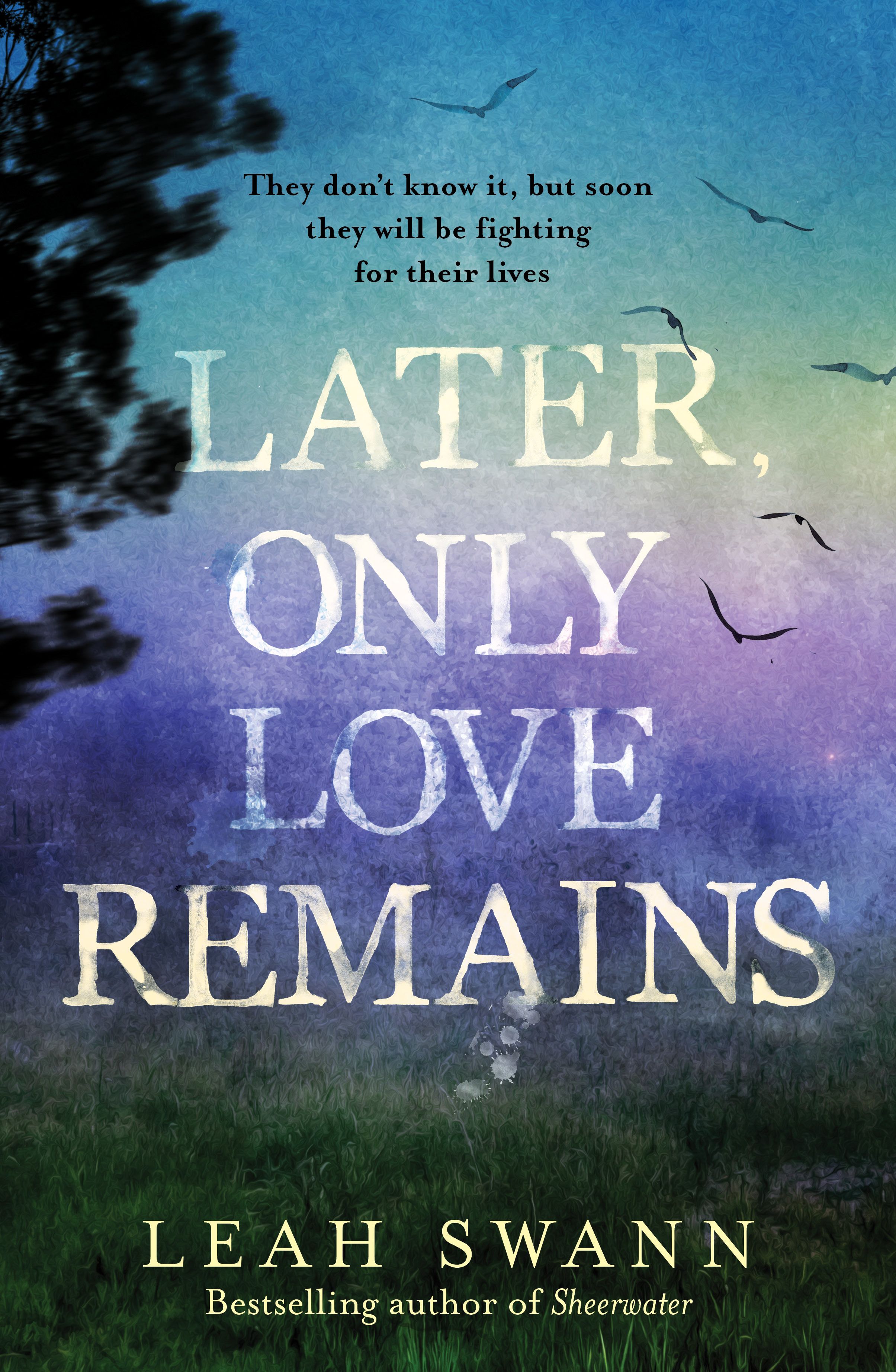 Later, Only Love Remains: A darkly beautiful suspense novel from the award-winning bestselling author of Sheerwater