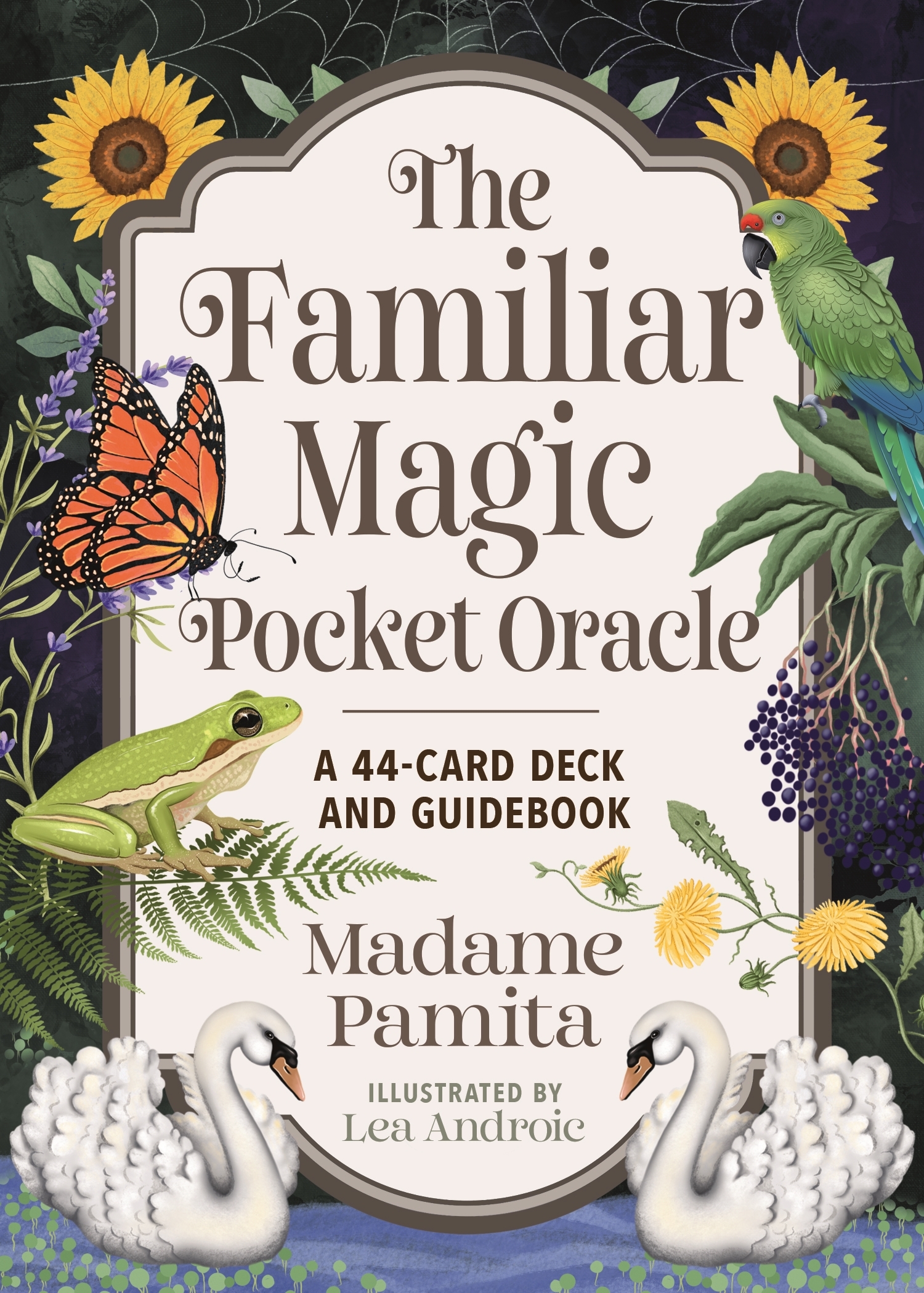 The Familiar Magic Pocket Oracle A 44-Card Deck and Guidebook