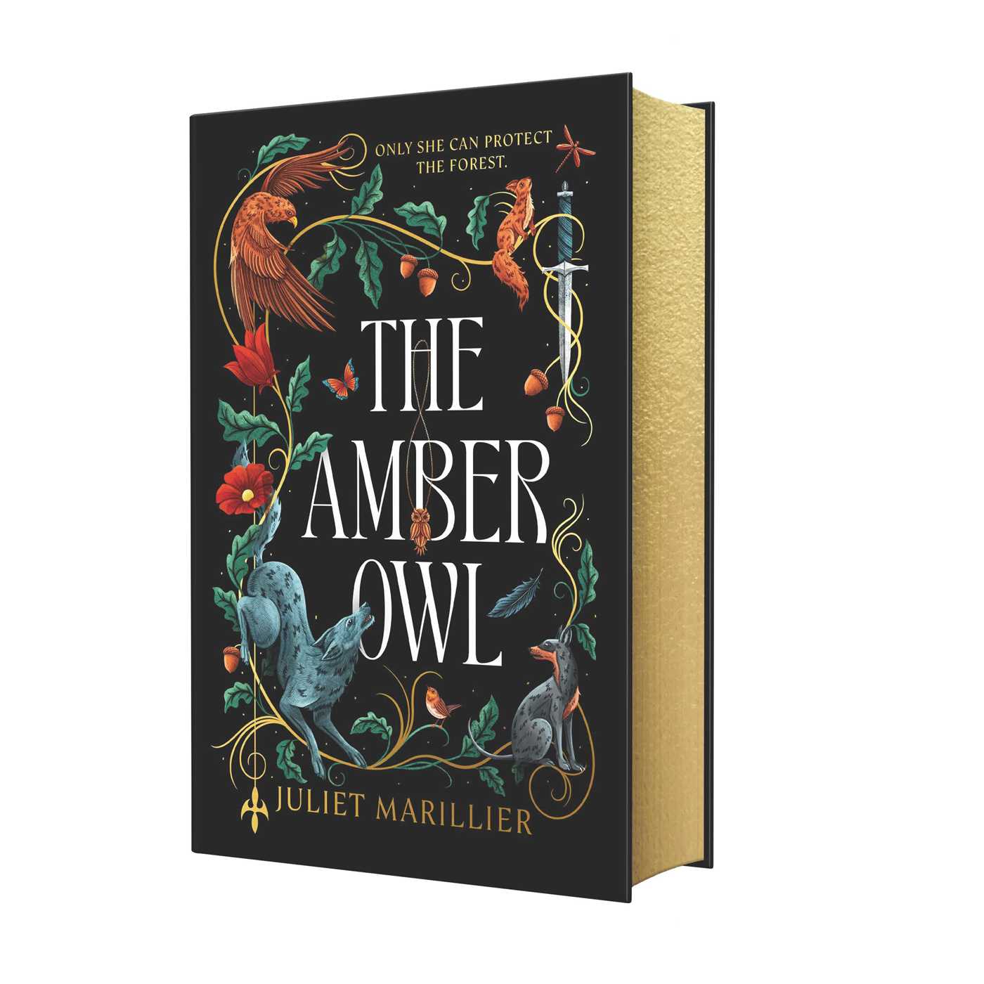 The Amber Owl Deluxe Limited Edition