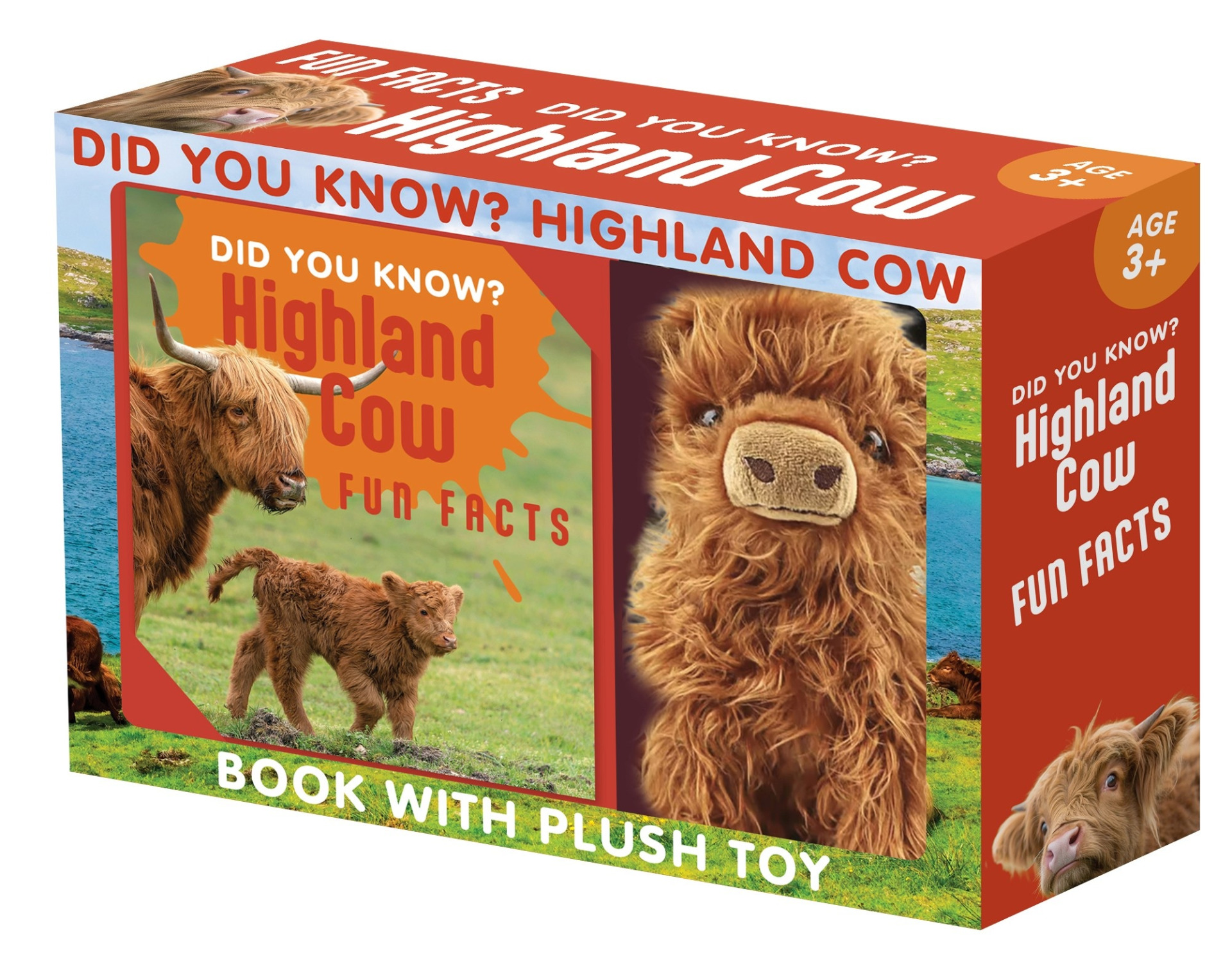 Did You Know? Highland Cow Boxed Set