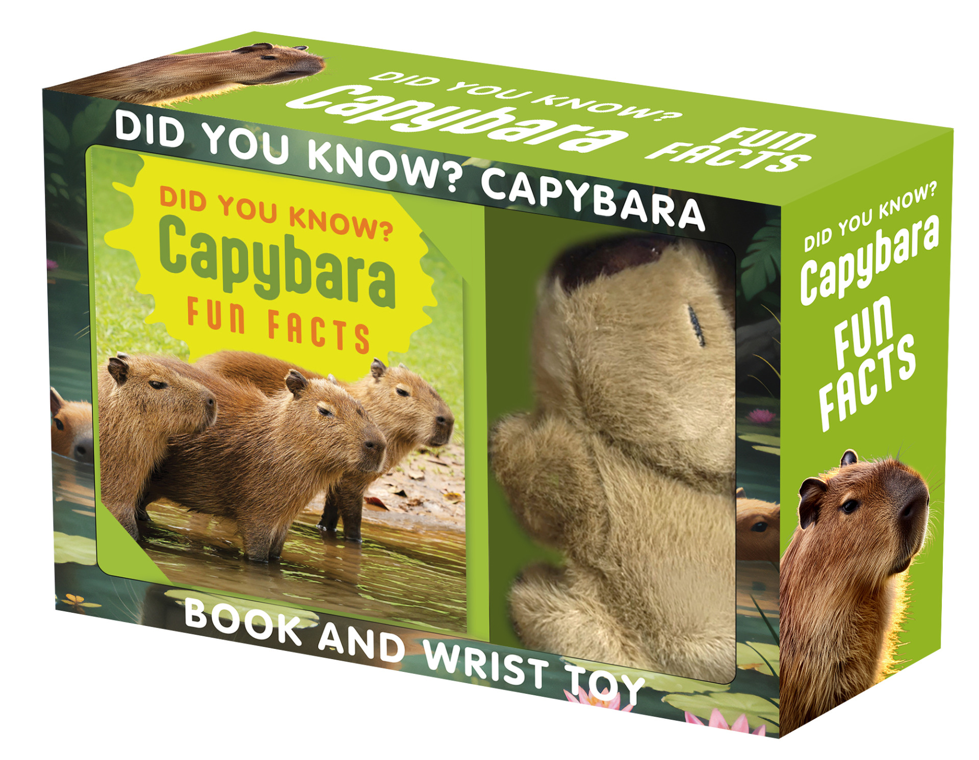 Did You Know Capybara Box Set