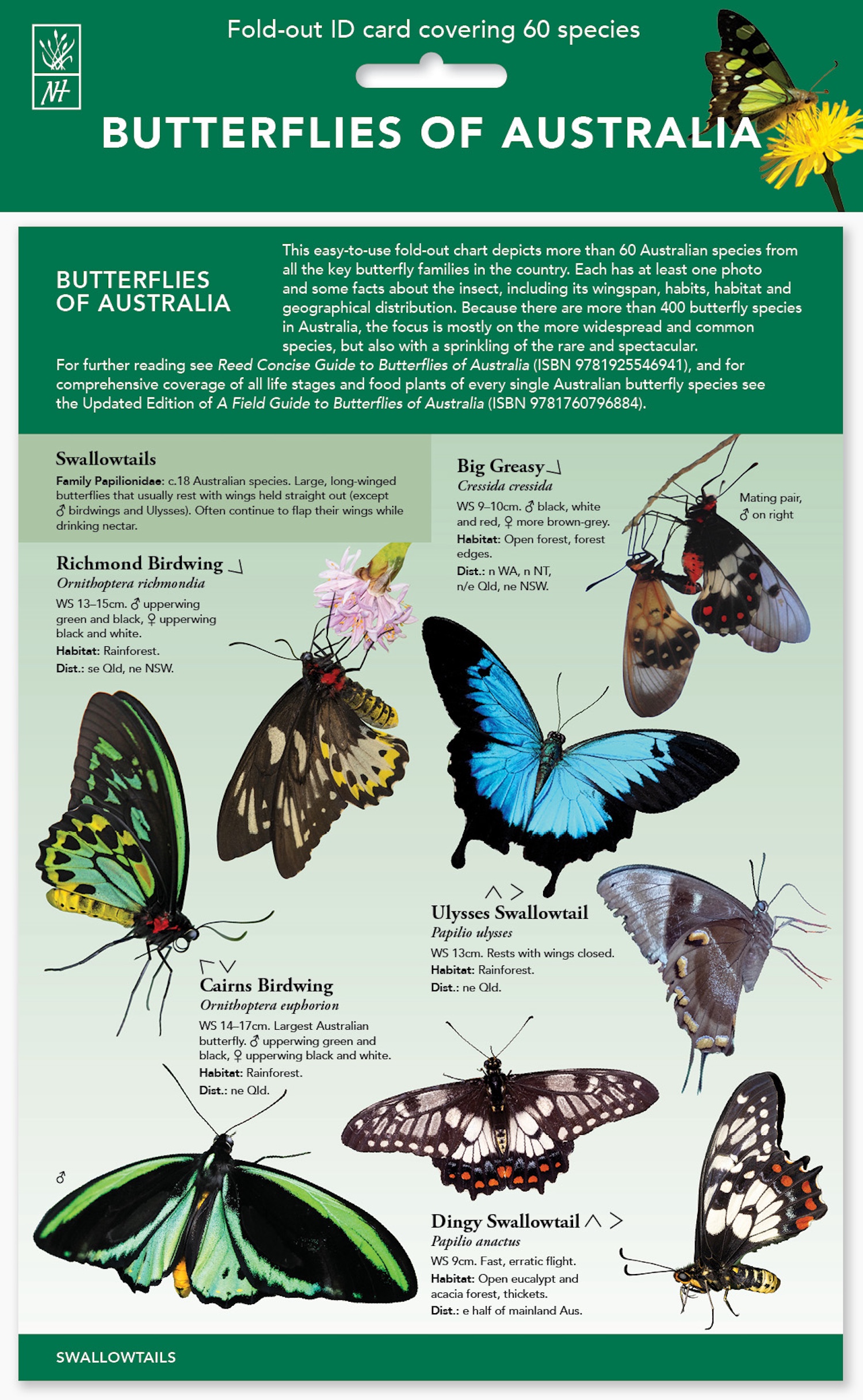 ID Chart-Butterflies