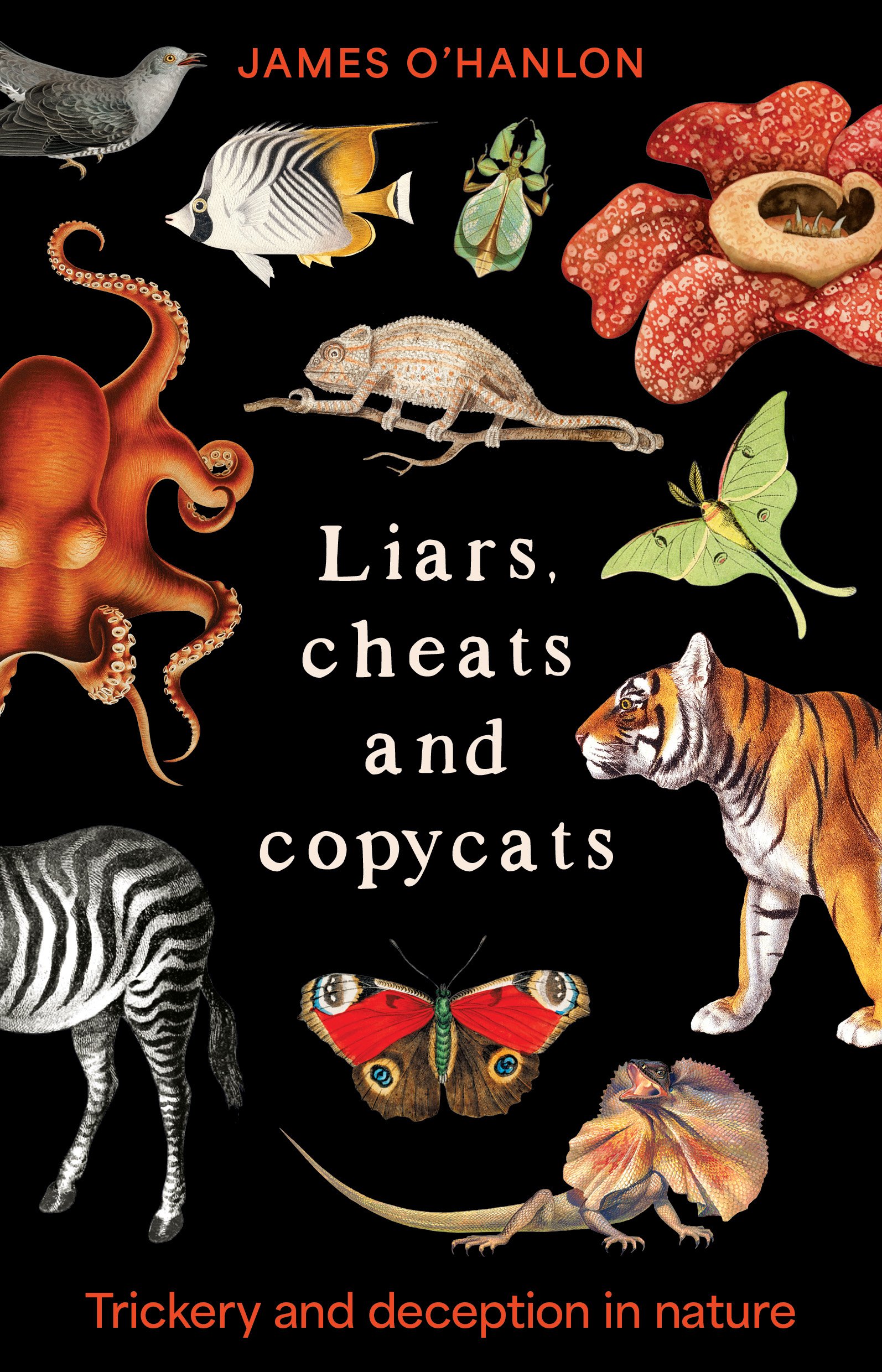 Liars, cheats and copycats by James O’Hanlon