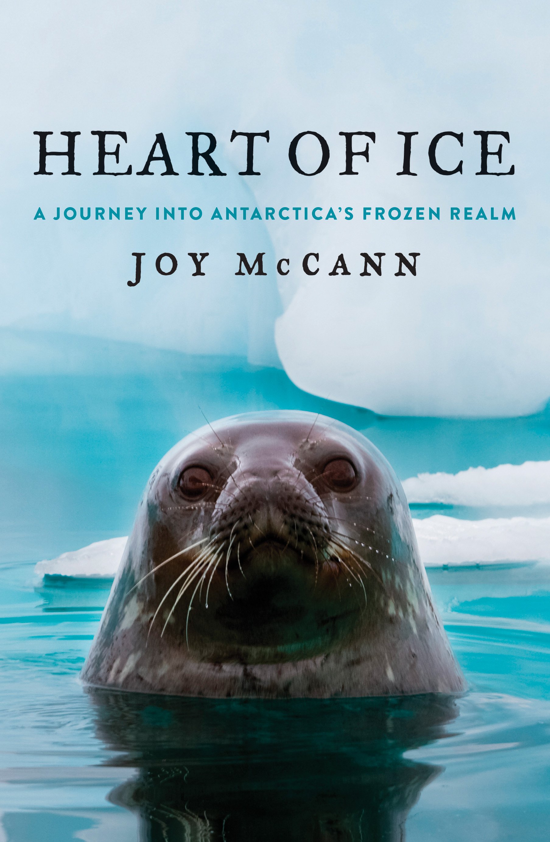 Heart of Ice by Joy McCann