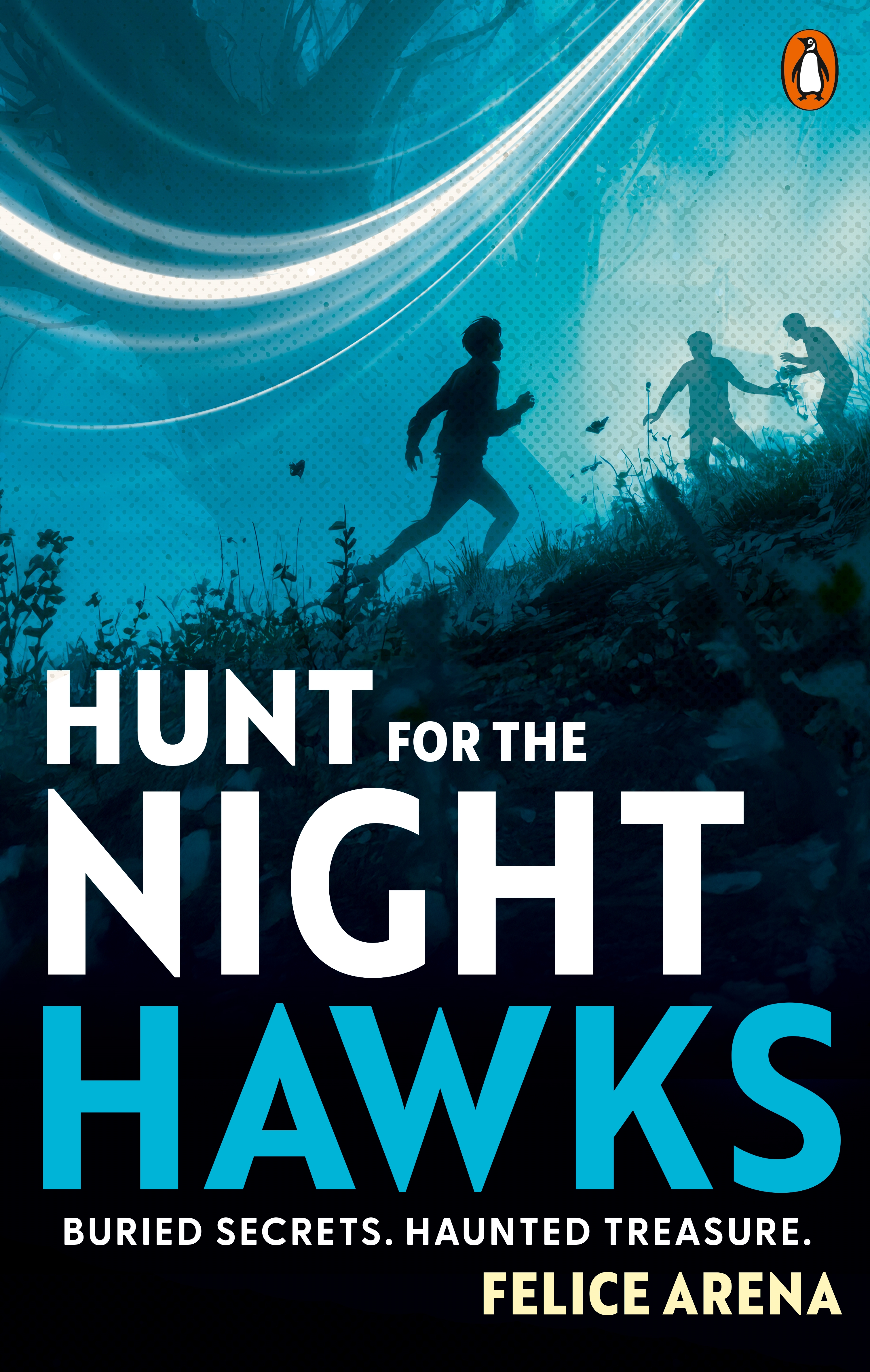 Hunt for the Nighthawks