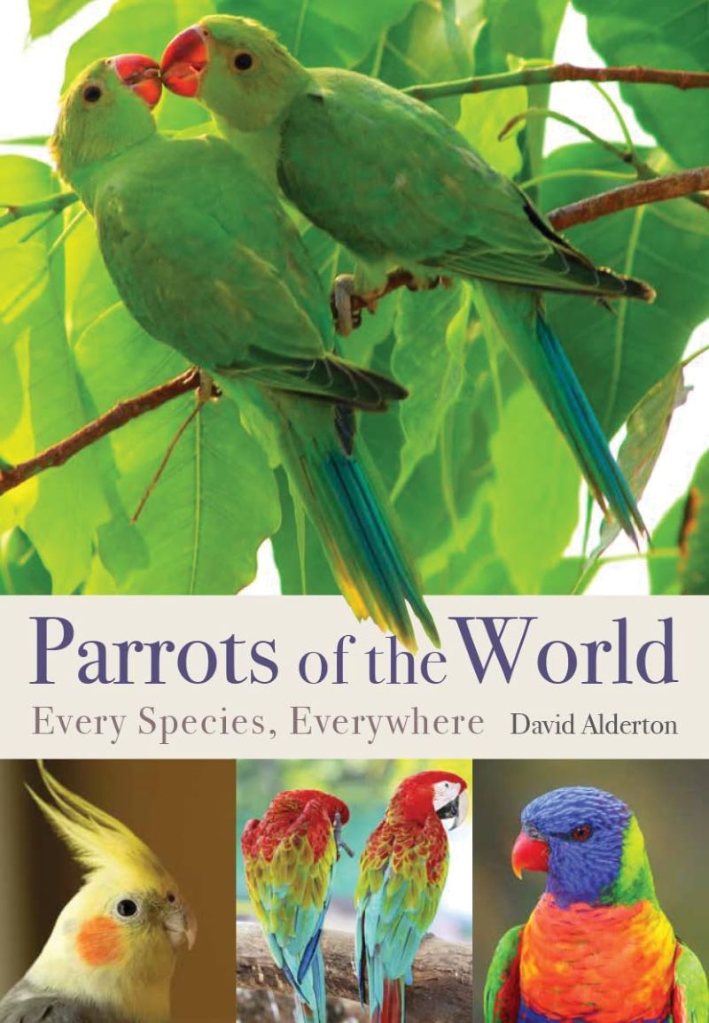Parrots of the World: The Illustrated Guide to Every Species
