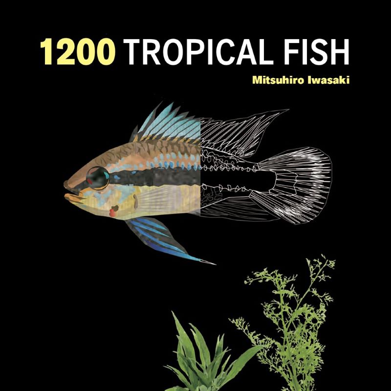 1200 Tropical Fish: An Illustrated Guide to 1200 Fish Species from Around the World