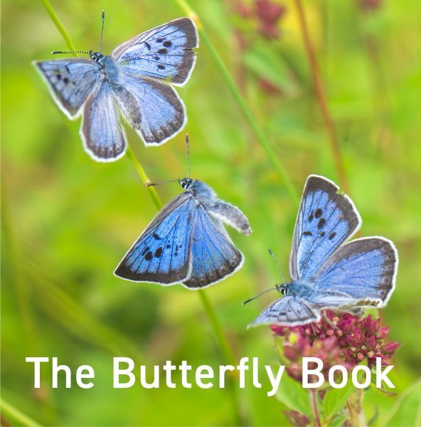 Butterfly Book