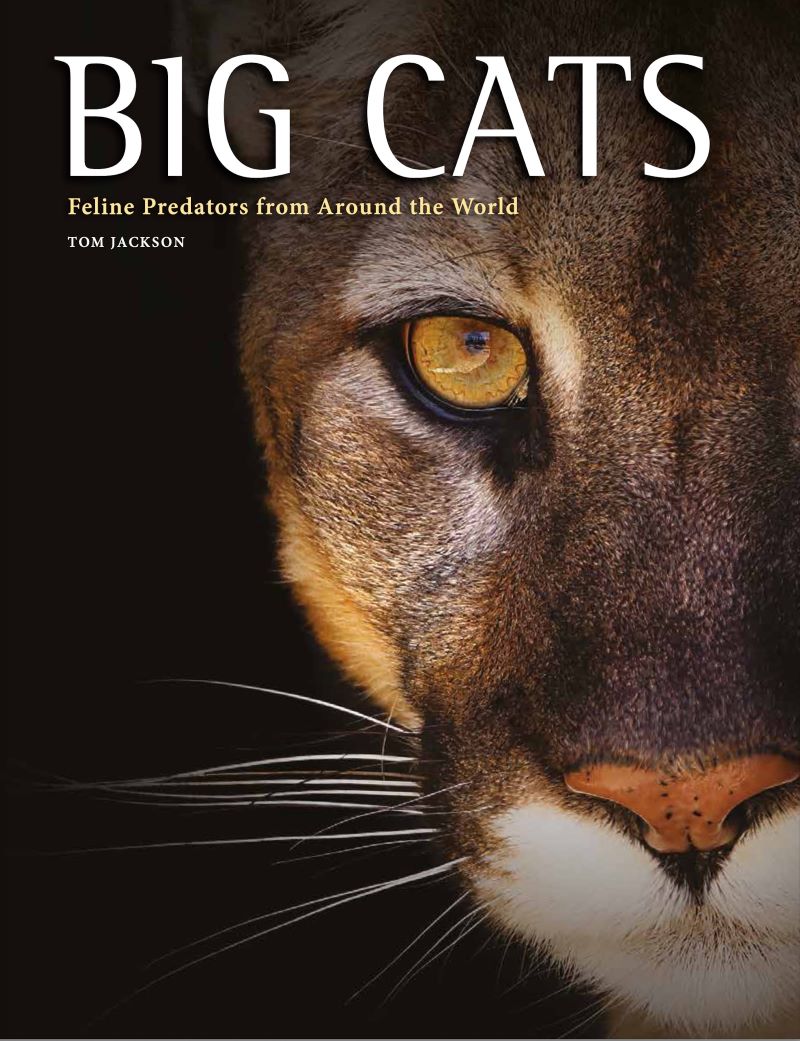 Big Cats: Feline Predators From Around The World
