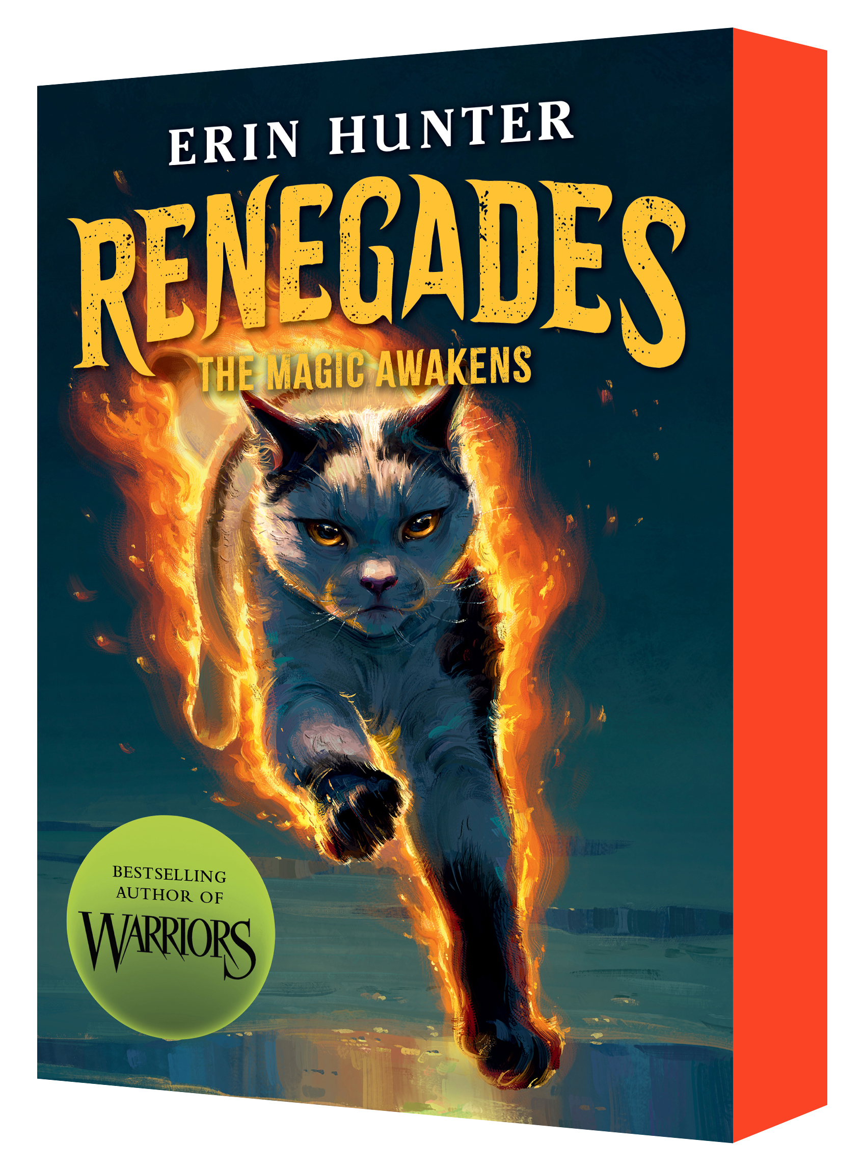 The Magic Awakens (Renegades: Book One)