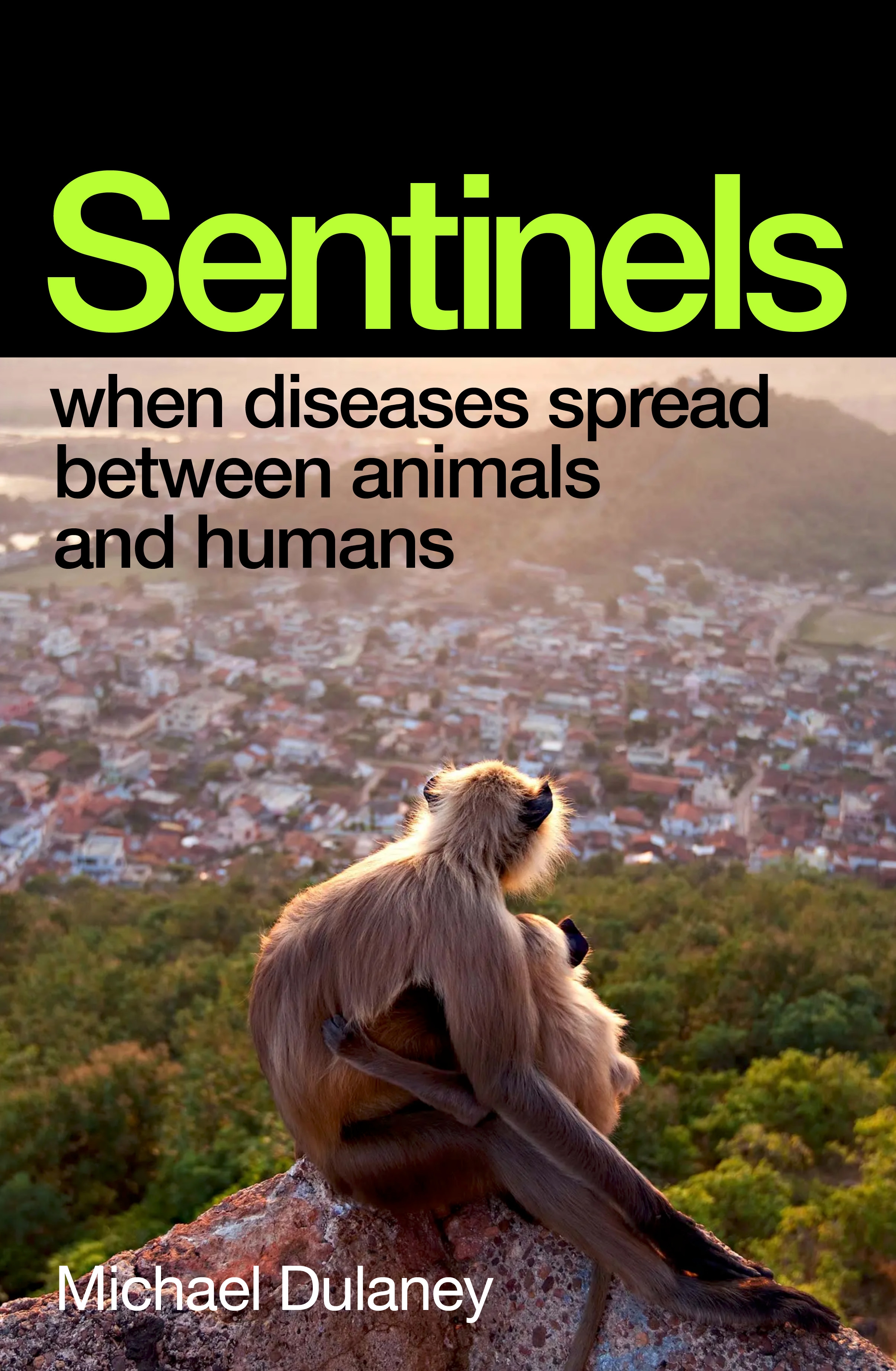Sentinels