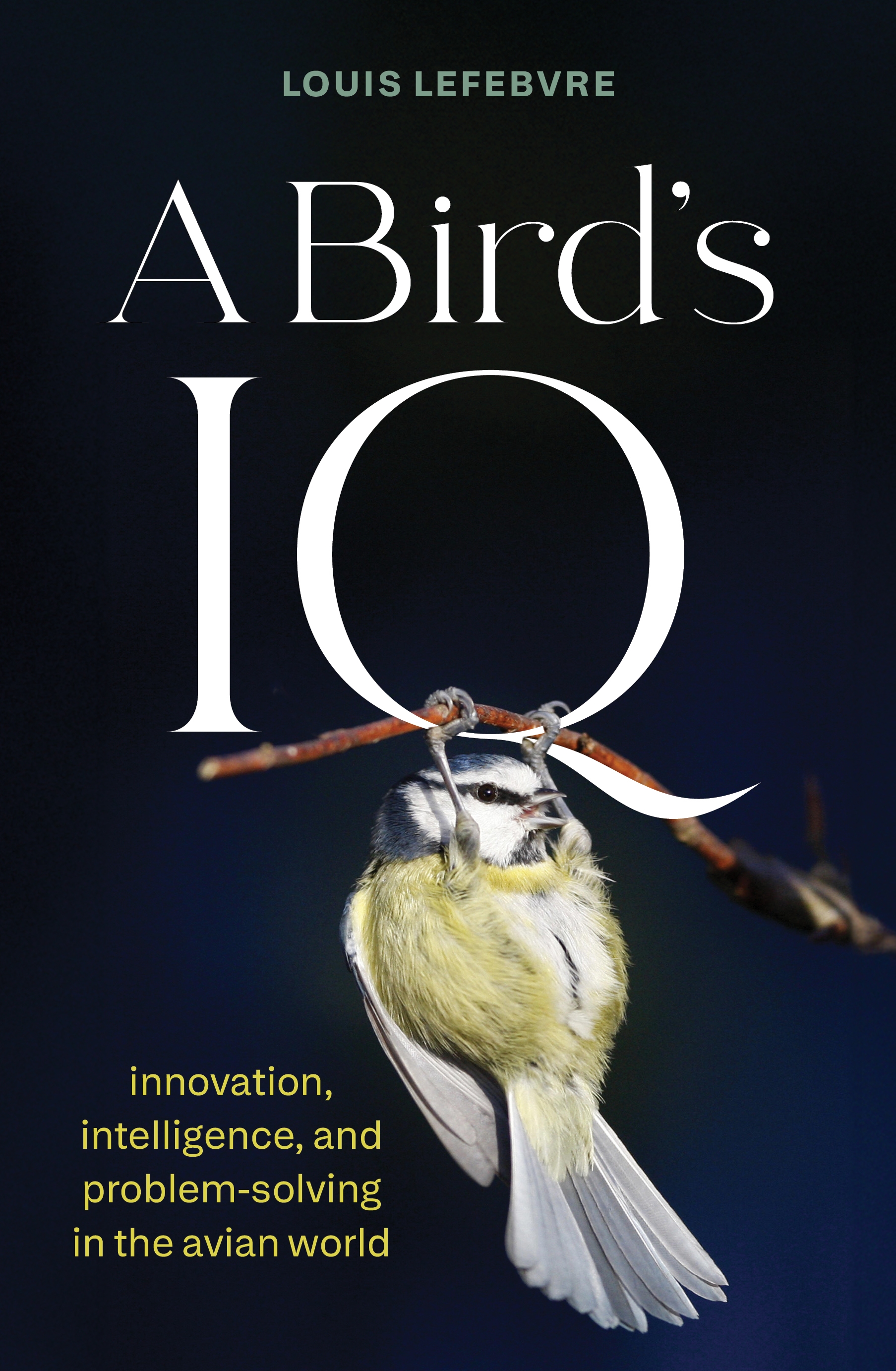 A Bird's IQ innovation, intelligence, and problem-solving in the avian world