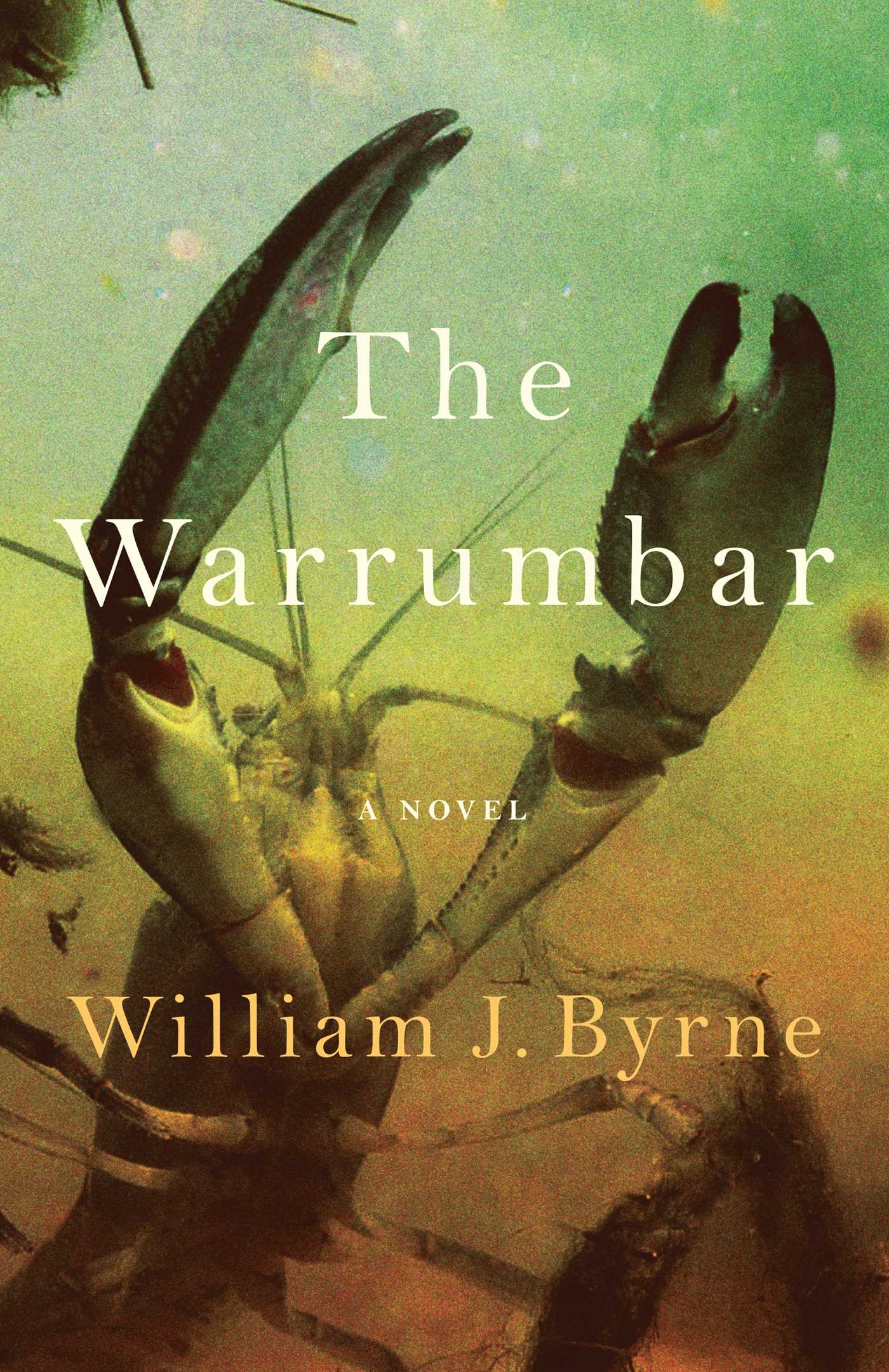 The Warrumbar by William J Byrne
