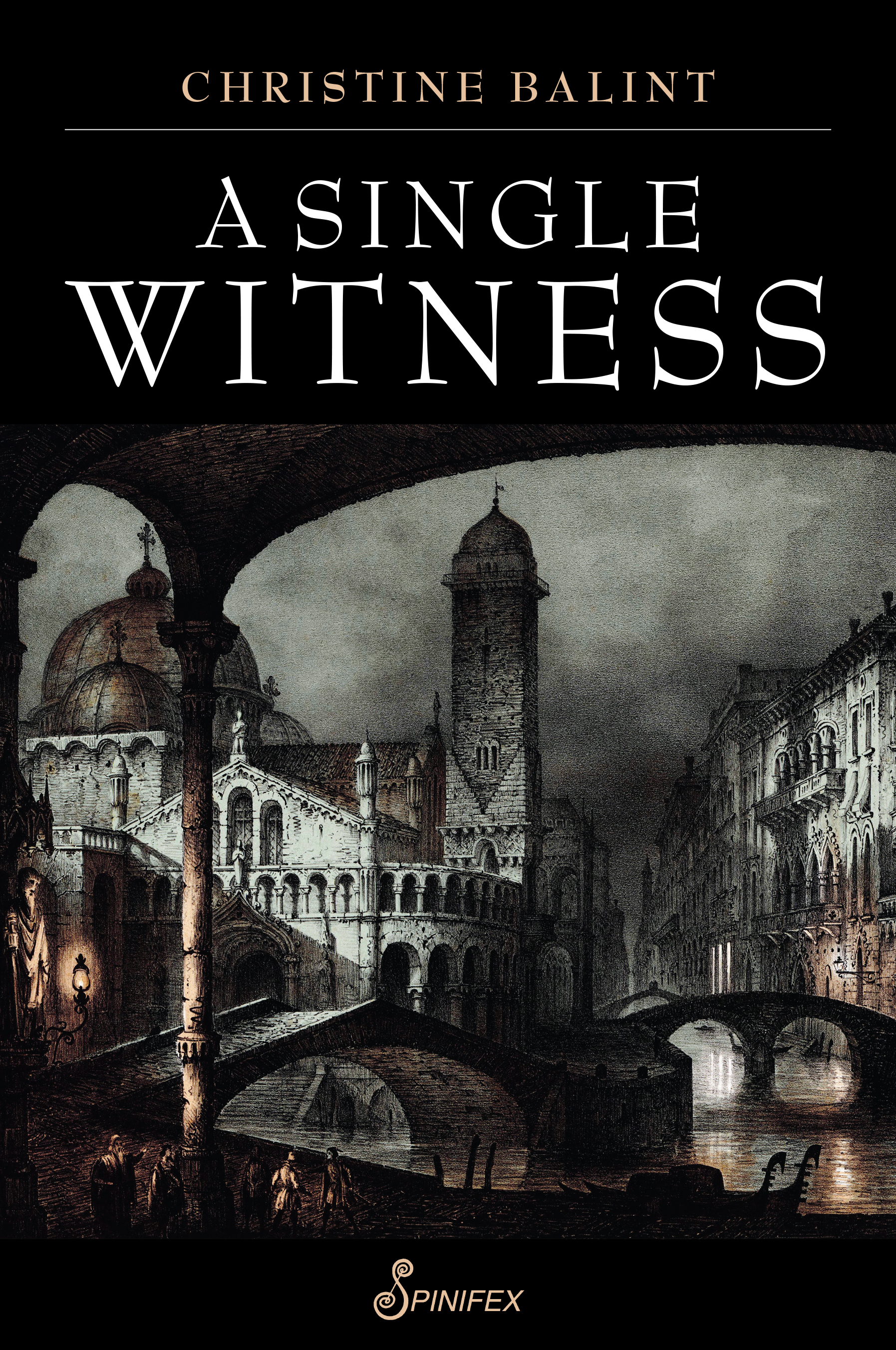 A Single Witness by Christine Balint