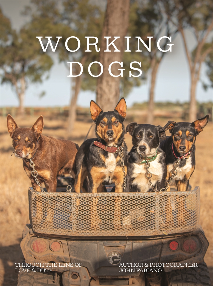 Working Dogs Through the lens of love & duty