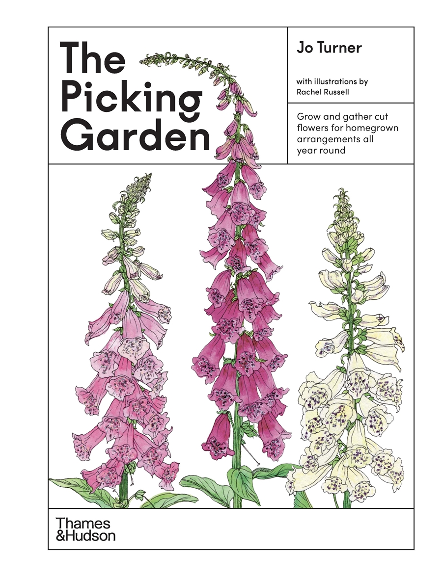 The Picking Garden Grow and gather cut flowers for homegrown arrangements all year round