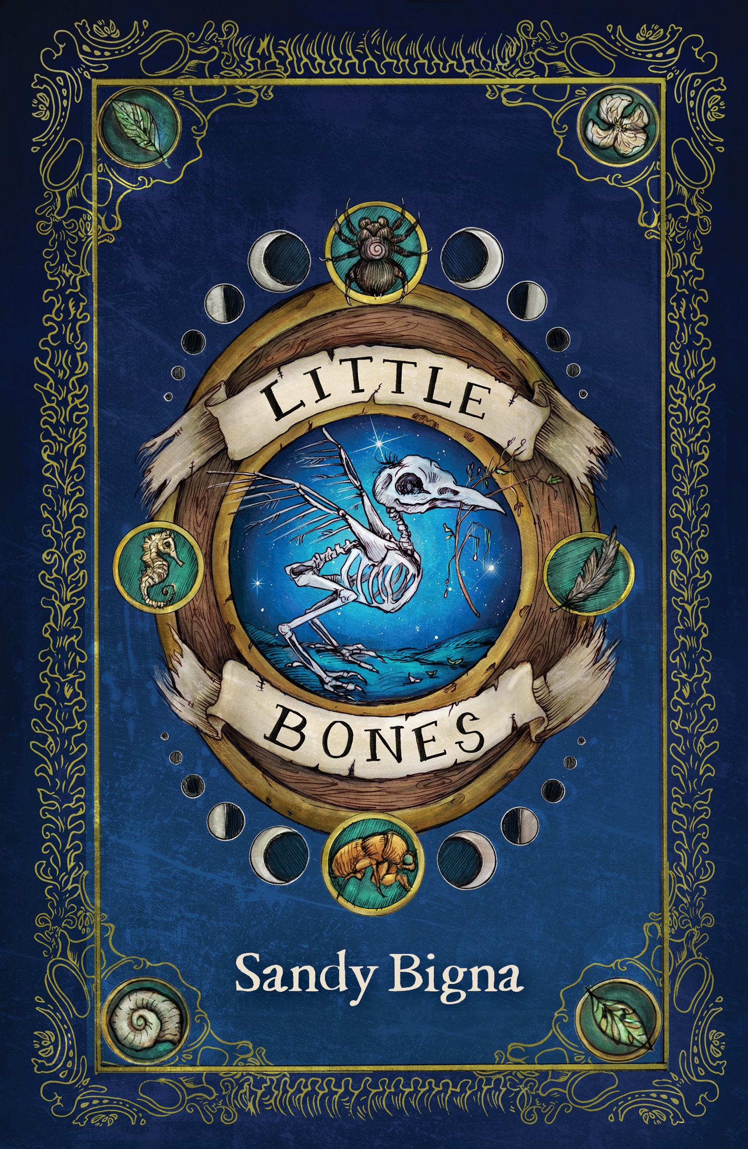 Little Bones by Sandy Bigna