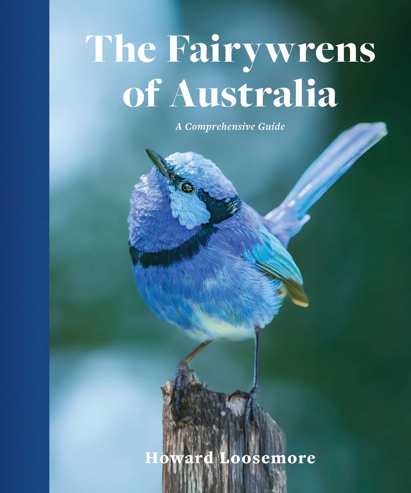 The Fairywrens of Australia A Comprehensive Guide