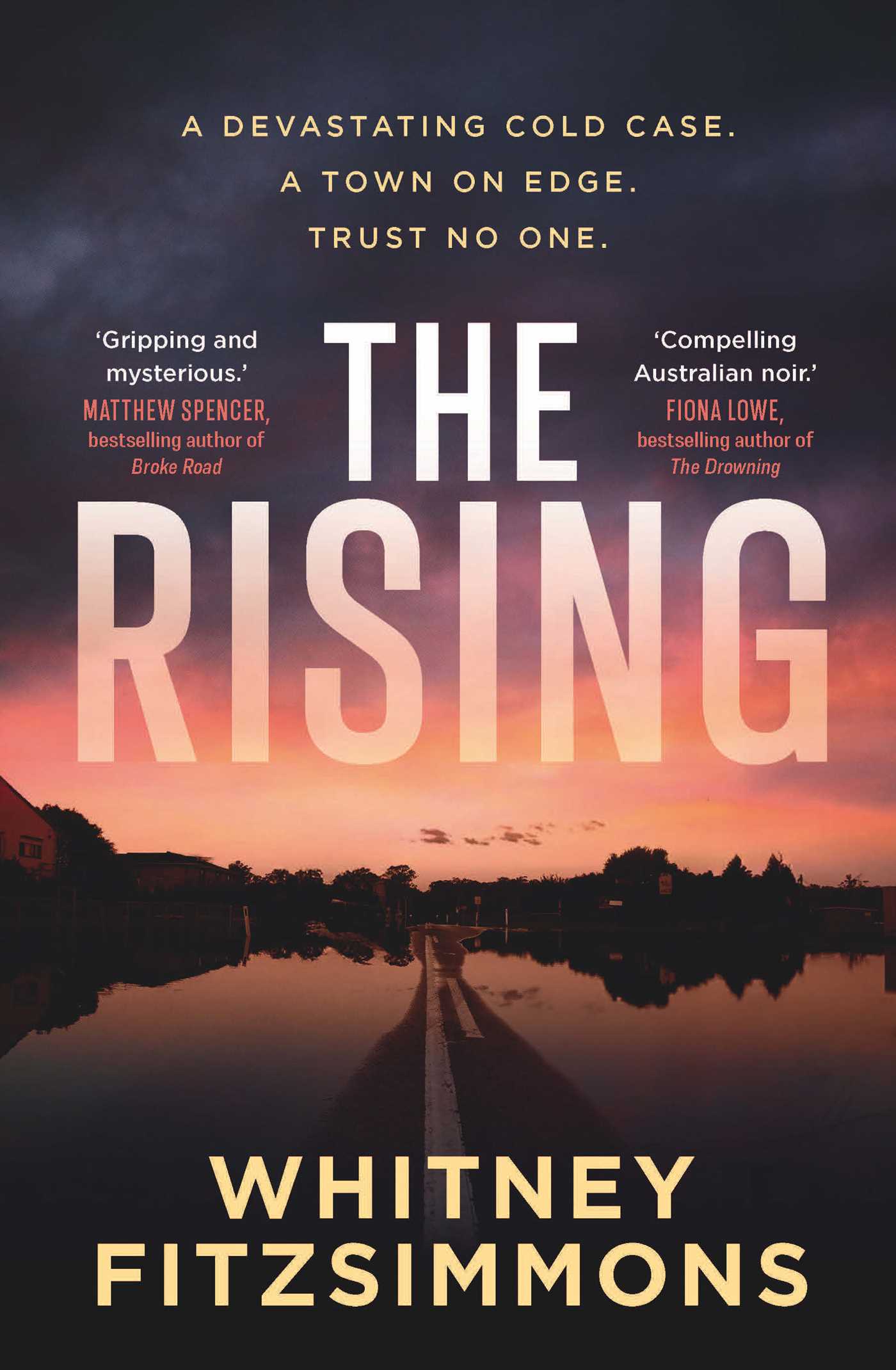 The Rising A devastating cold case. A town on edge. Trust no one.